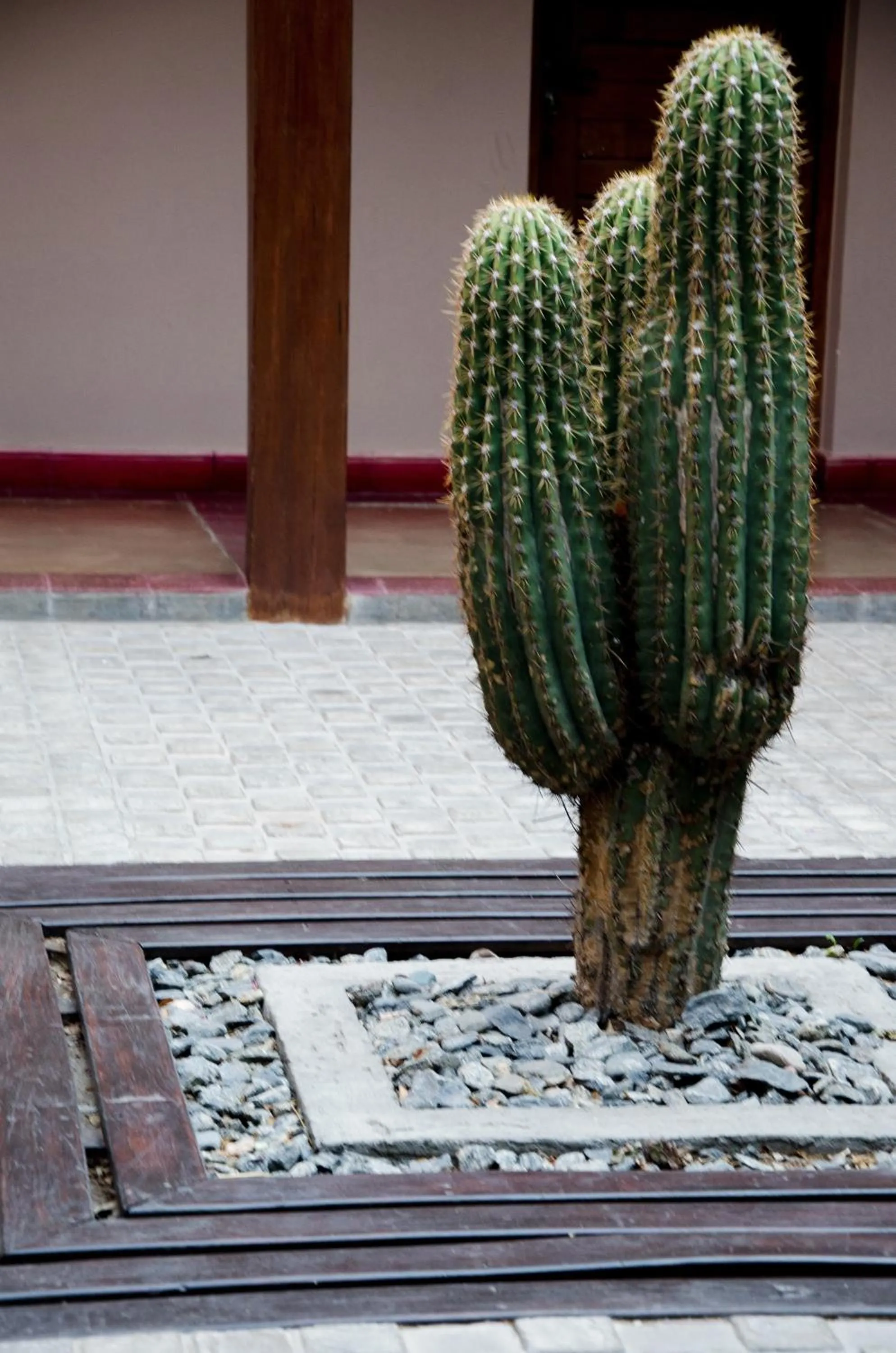 Patio in Munay Hotel Cafayate