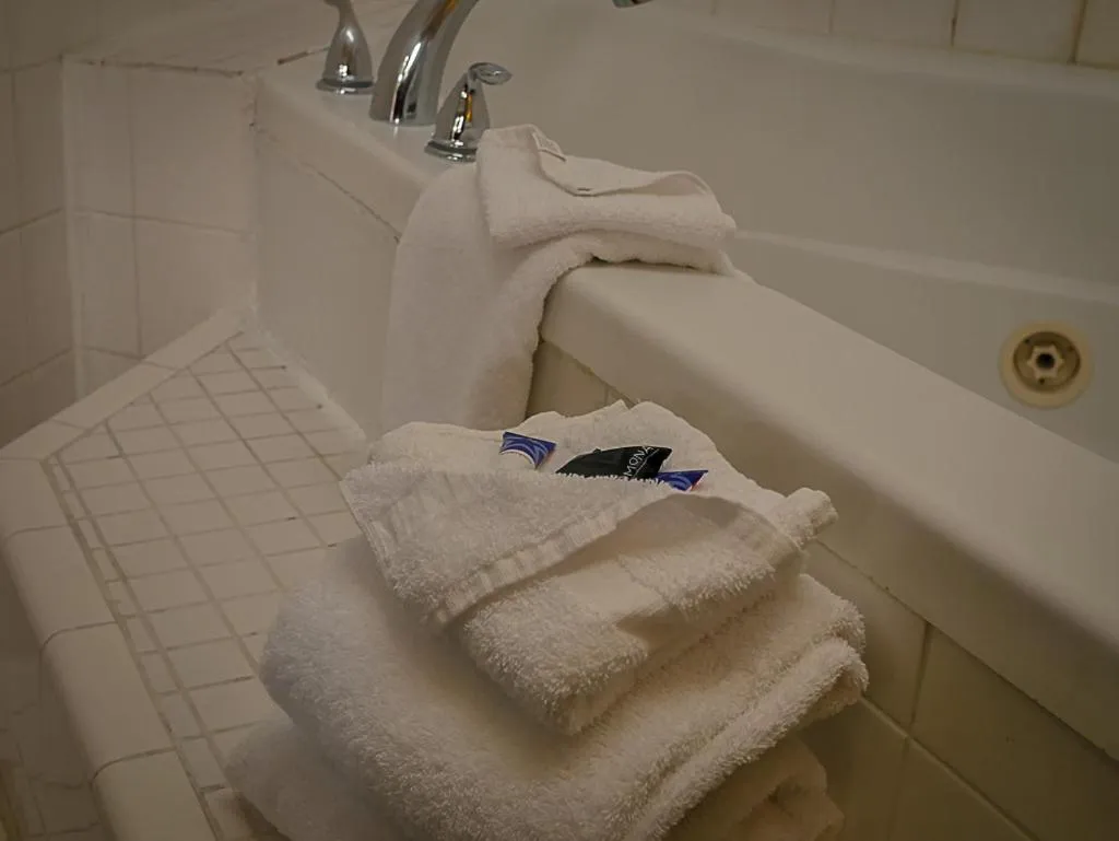 Bathroom in Americas Best Value Inn - Chico