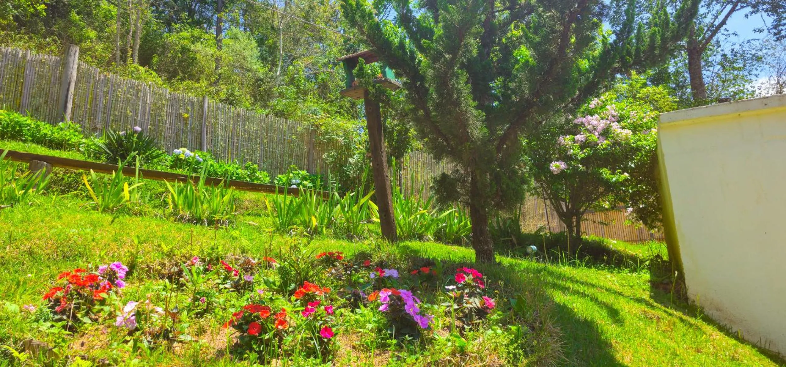 Natural landscape in Cores e Flores da Serra Pousada by Concavus