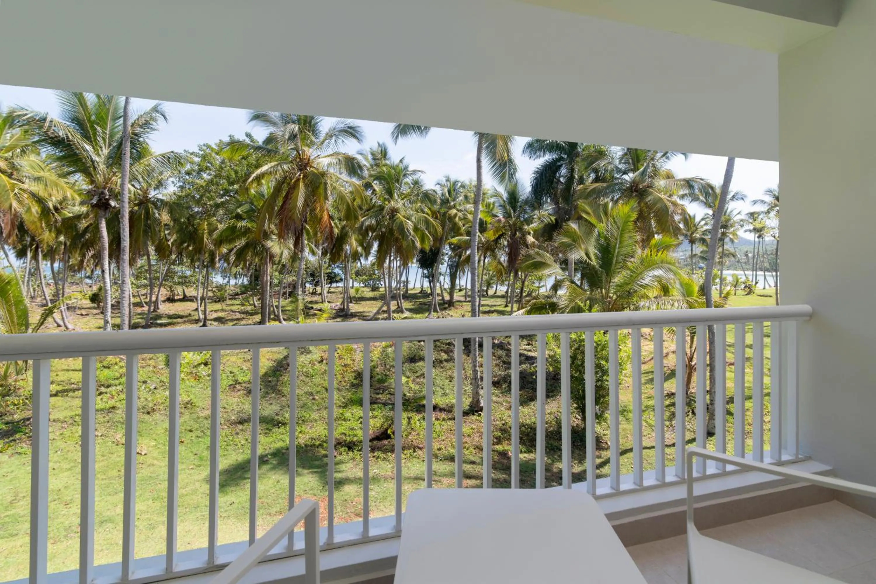 View (from property/room) in Wyndham Alltra Samana All Inclusive Resort