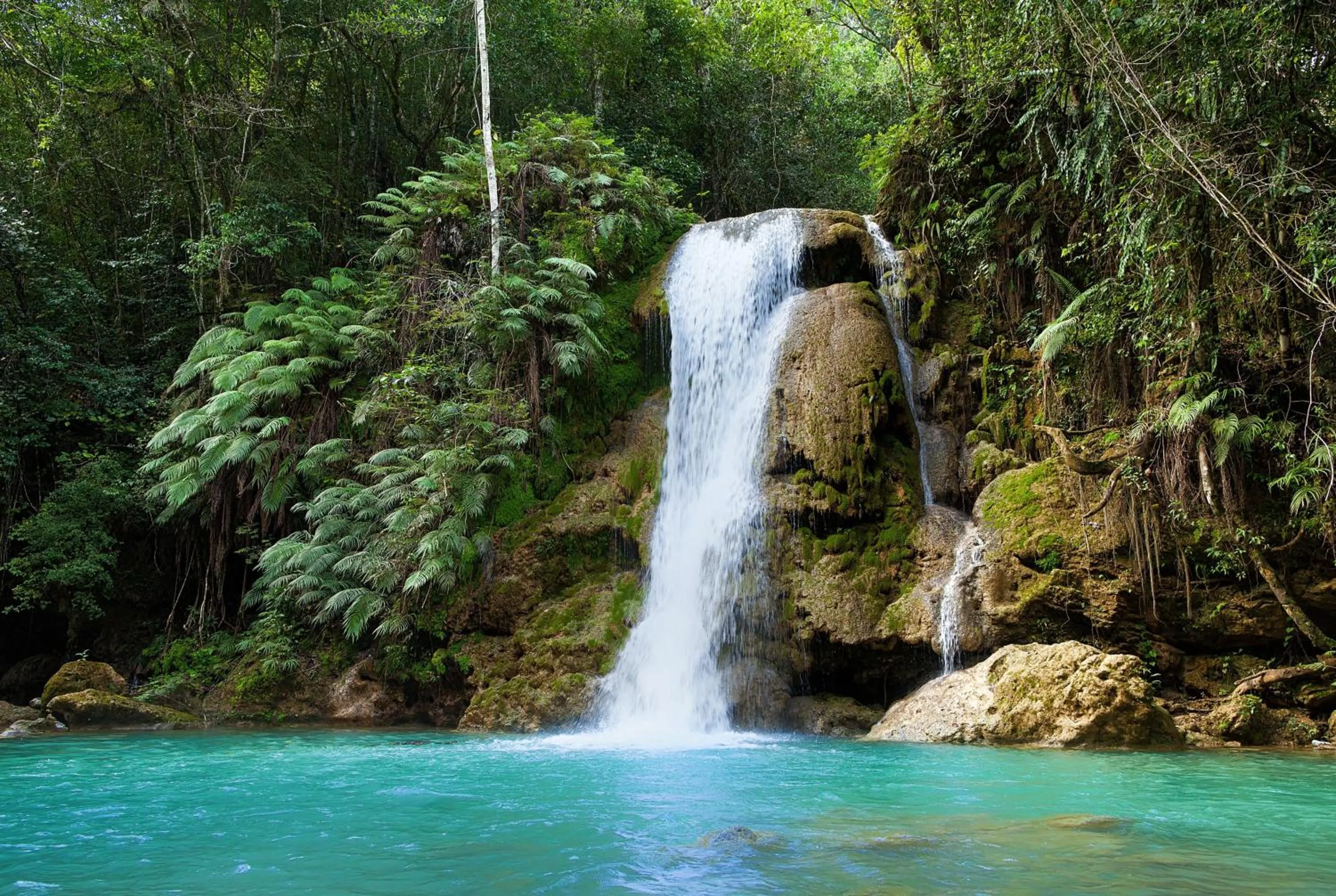 Other in Wyndham Alltra Samana All Inclusive Resort