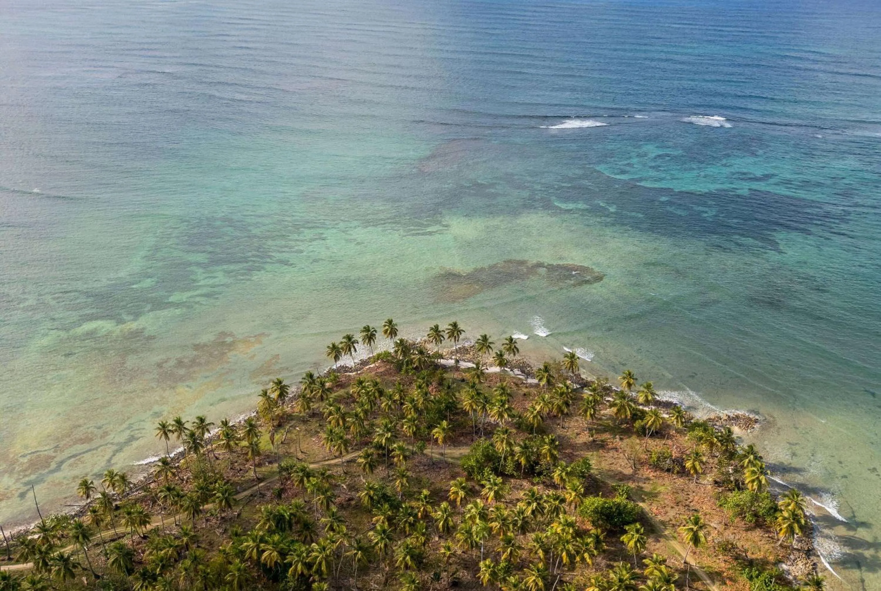 Other in Wyndham Alltra Samana All Inclusive Resort