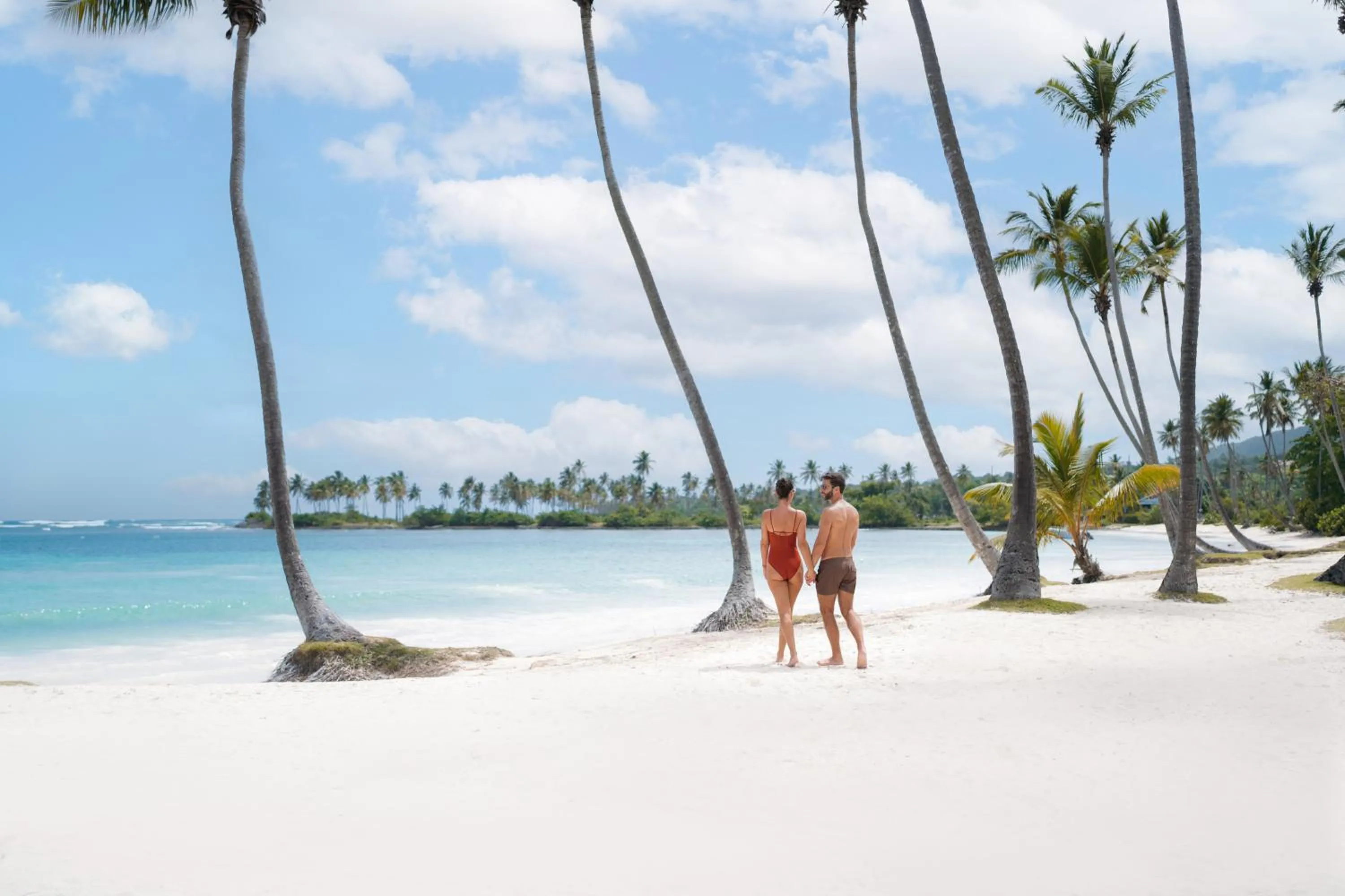 Natural landscape in Wyndham Alltra Samana All Inclusive Resort