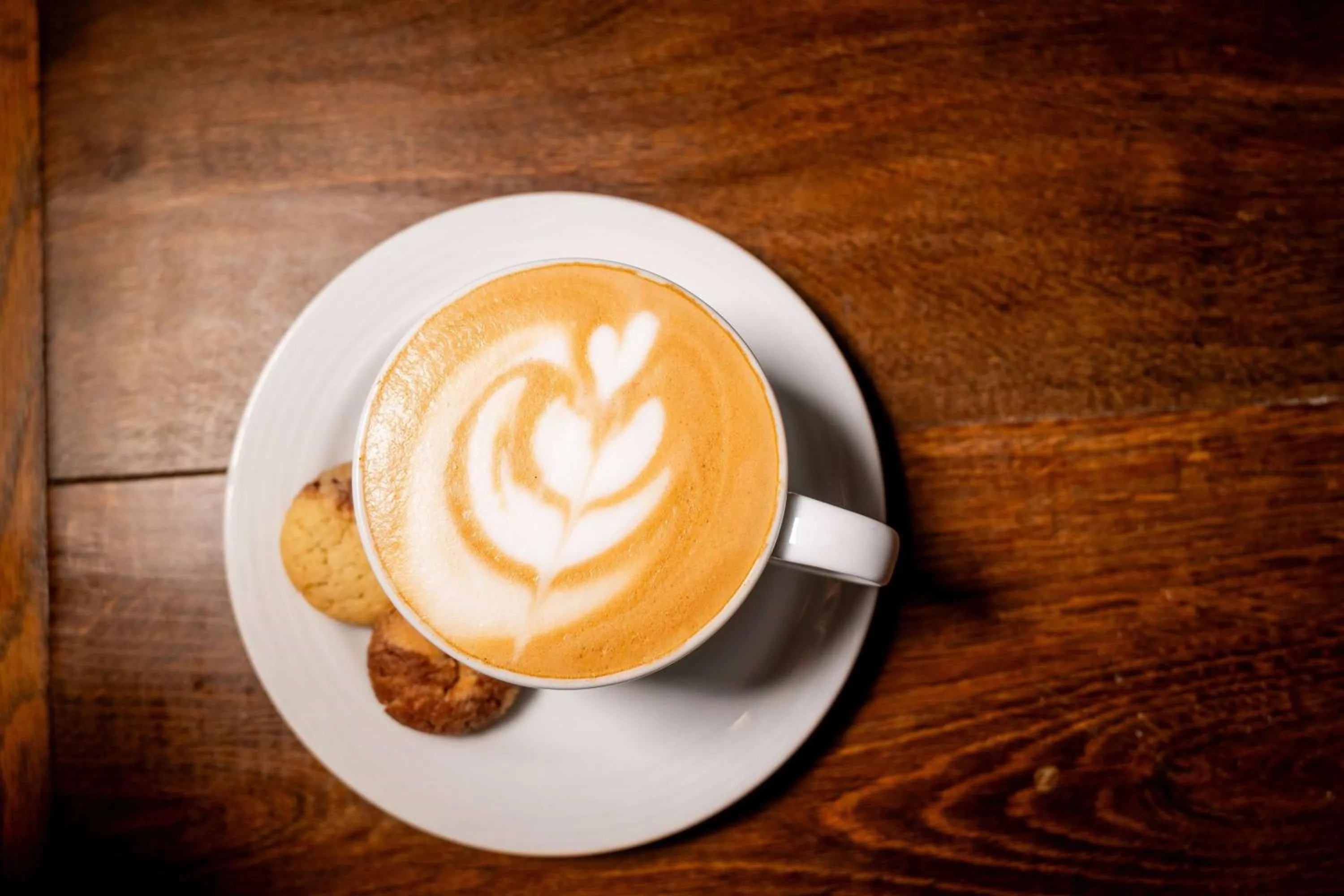 Restaurant/places to eat in Wyndham Alltra Samana All Inclusive Resort