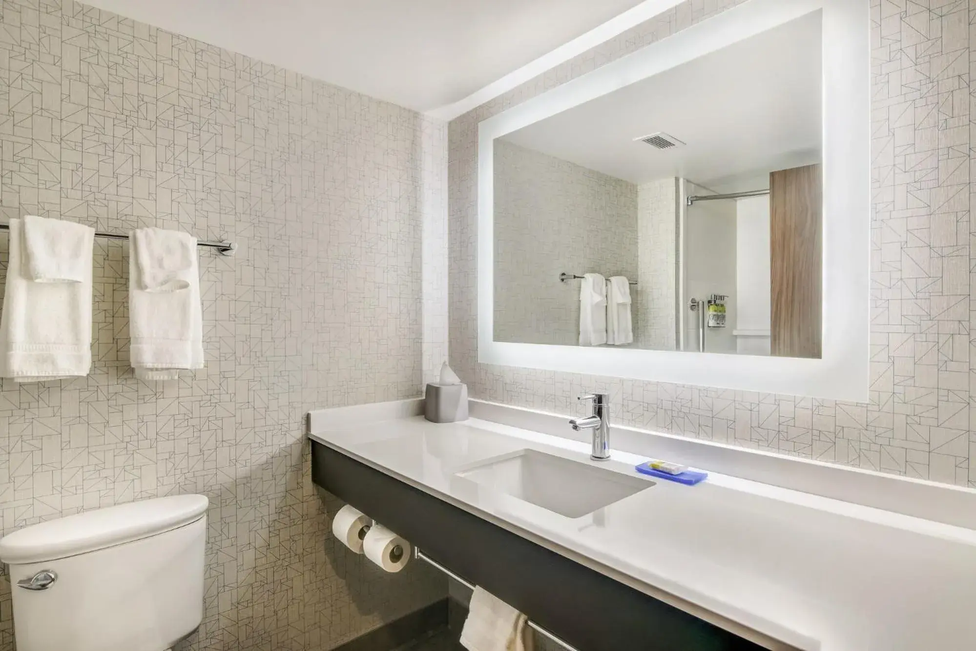 One-Bedroom King Suite with Communications Accessible Roll-In Shower in Holiday Inn Express & Suites Longview North by IHG One-Bedroom King Suite with Communications Accessible Roll-In Shower in Holiday Inn Express & Suites Longview North by IHG