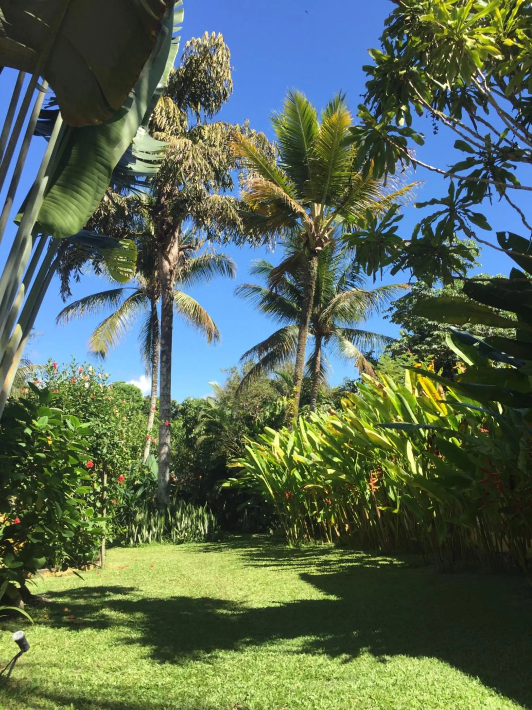 Garden in Pousada Jardim Das Margaridas