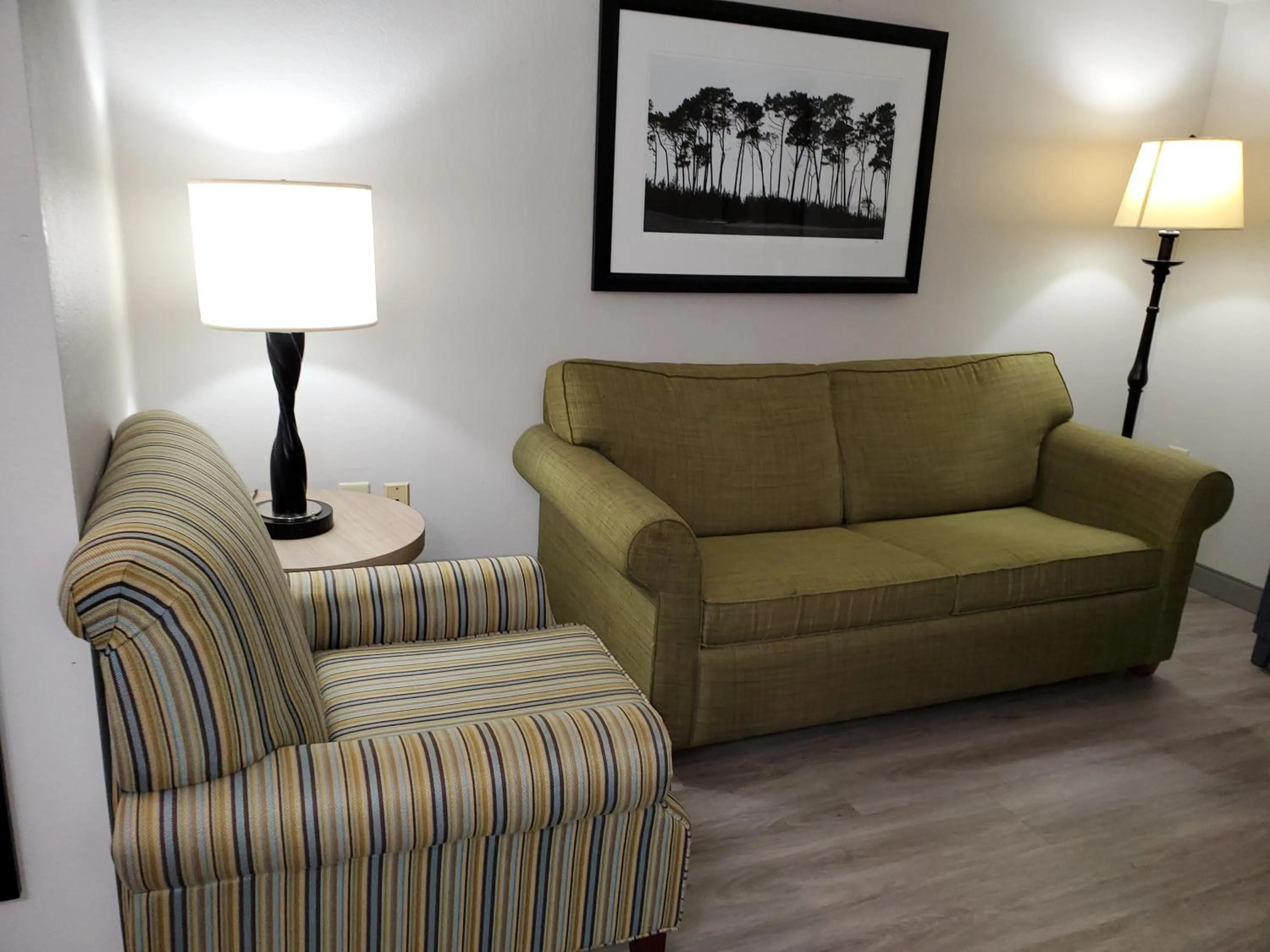 Living room in Country Inn & Suites by Radisson, Buford at Mall of Georgia, GA