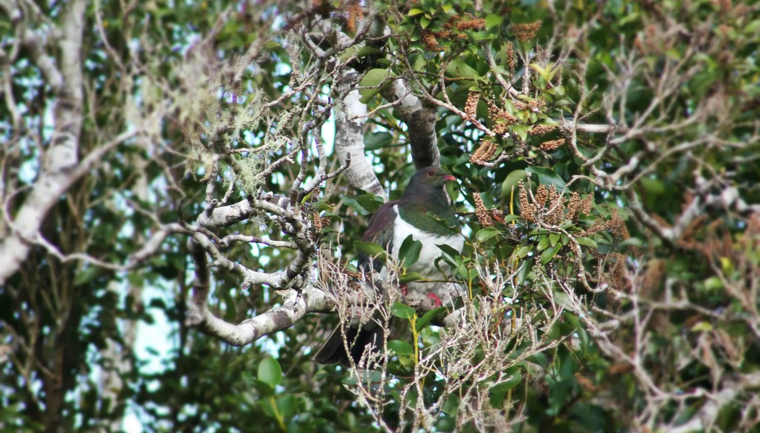 Garden in Westwood Lodge