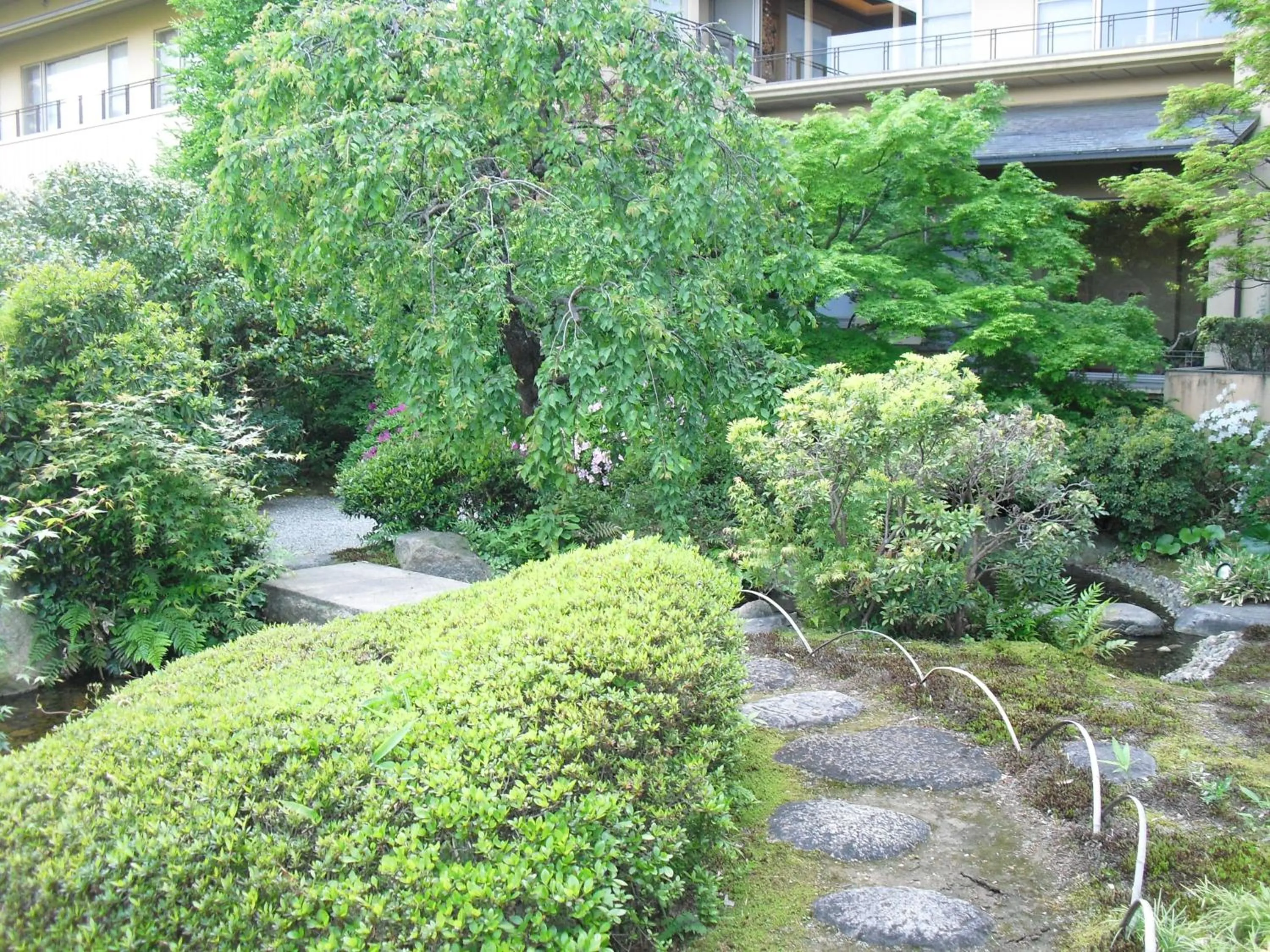 On site in Seizan Yamato