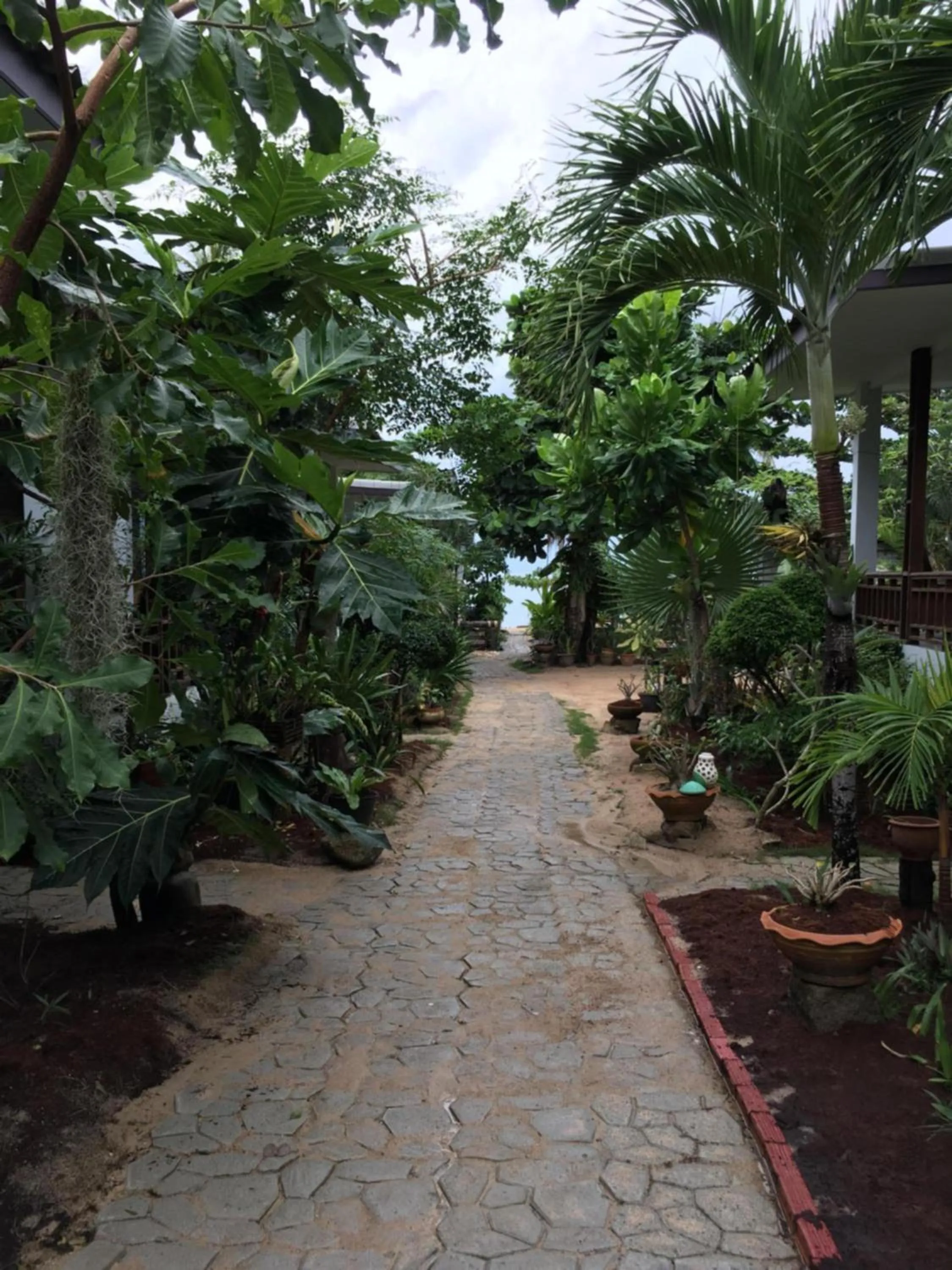 Garden view in Benjamin's Hut