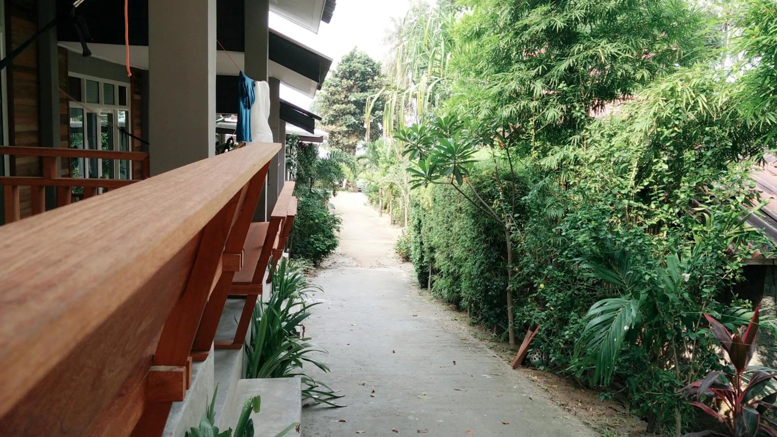 Facade/entrance in Benjamin's Hut