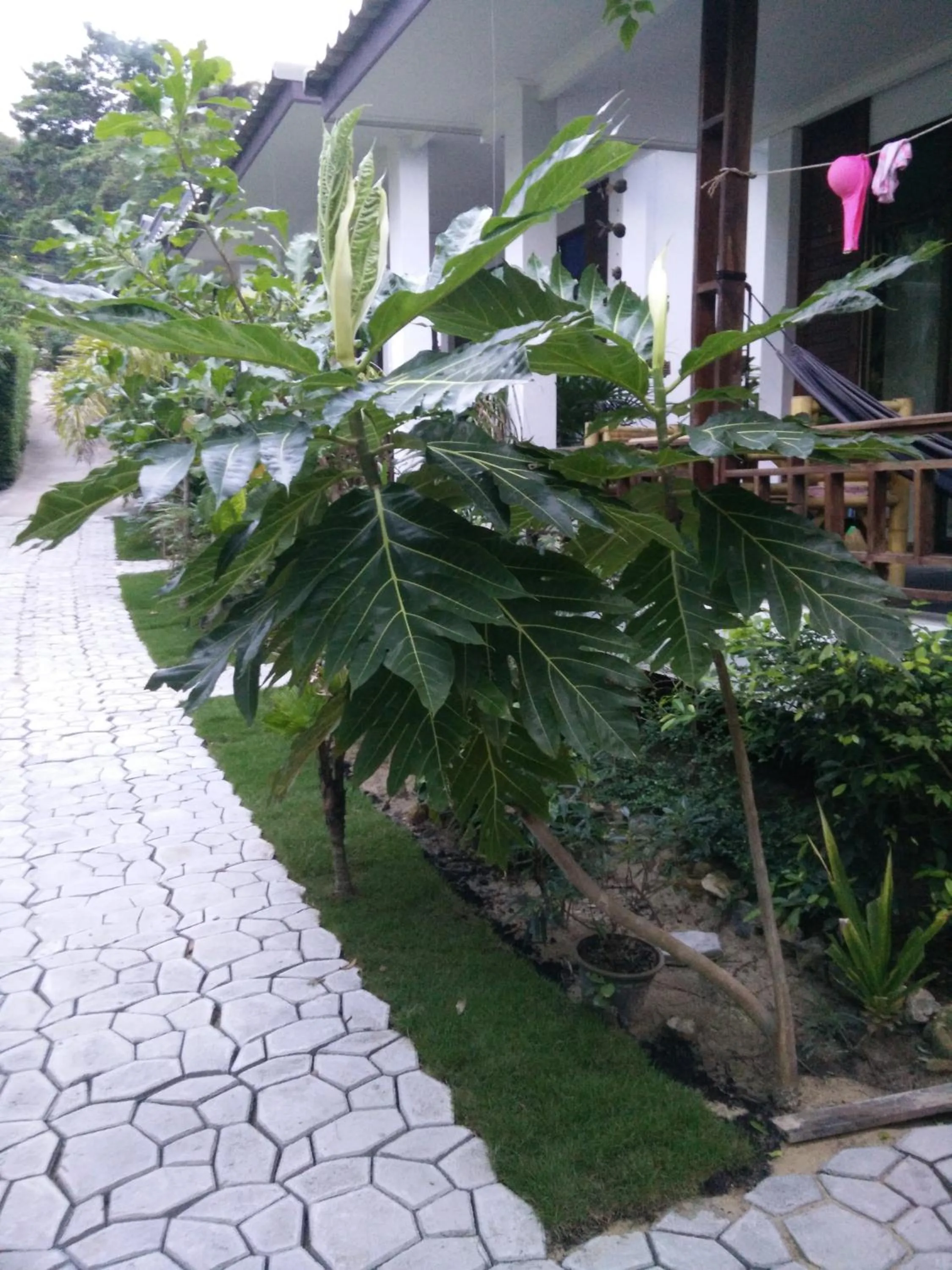 Other in Benjamin's Hut