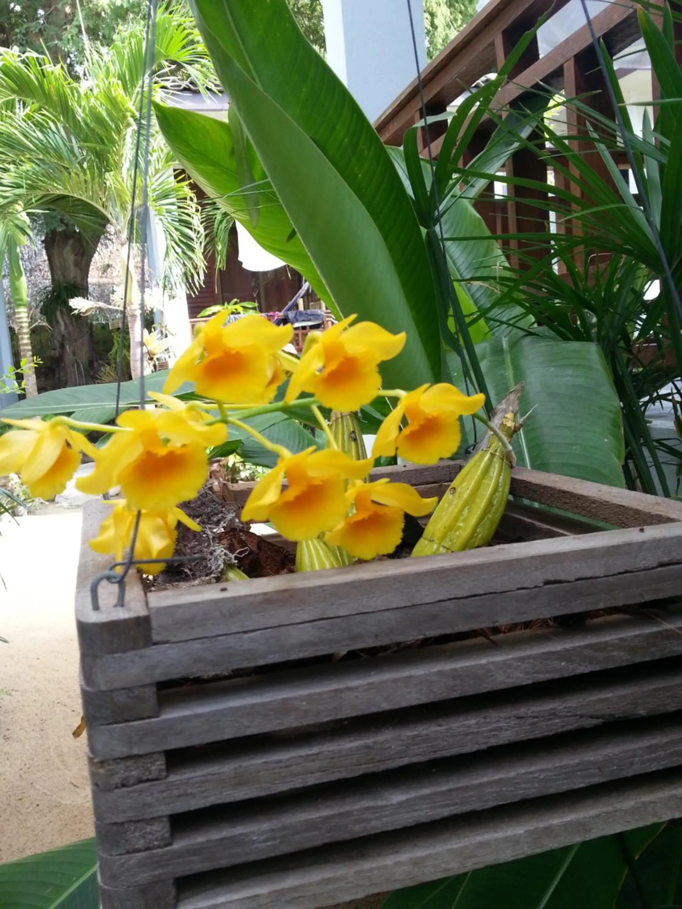 On site in Benjamin's Hut