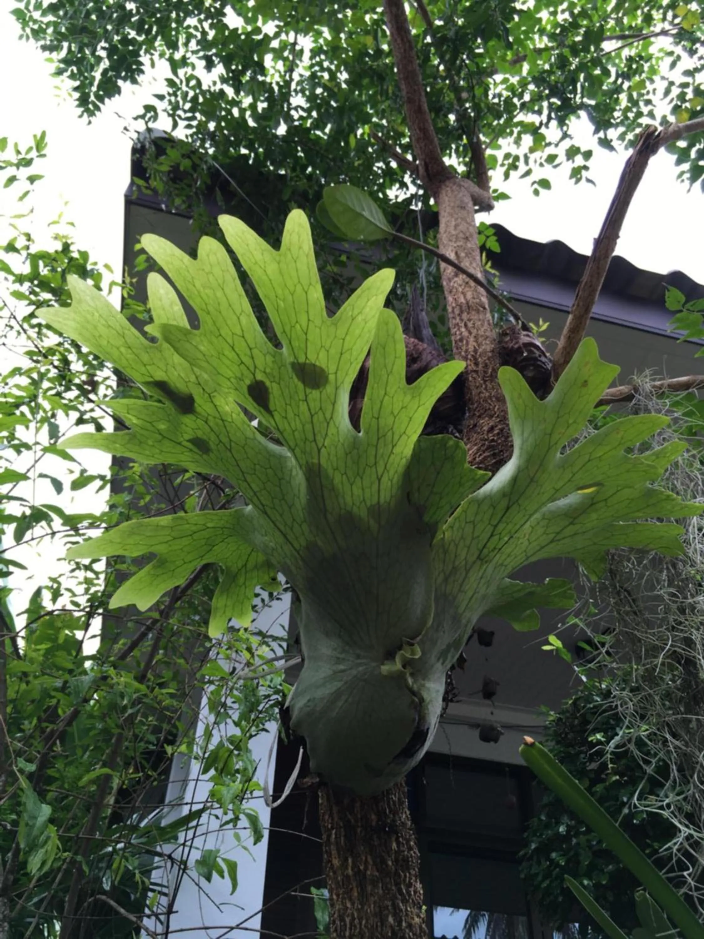 Natural landscape in Benjamin's Hut