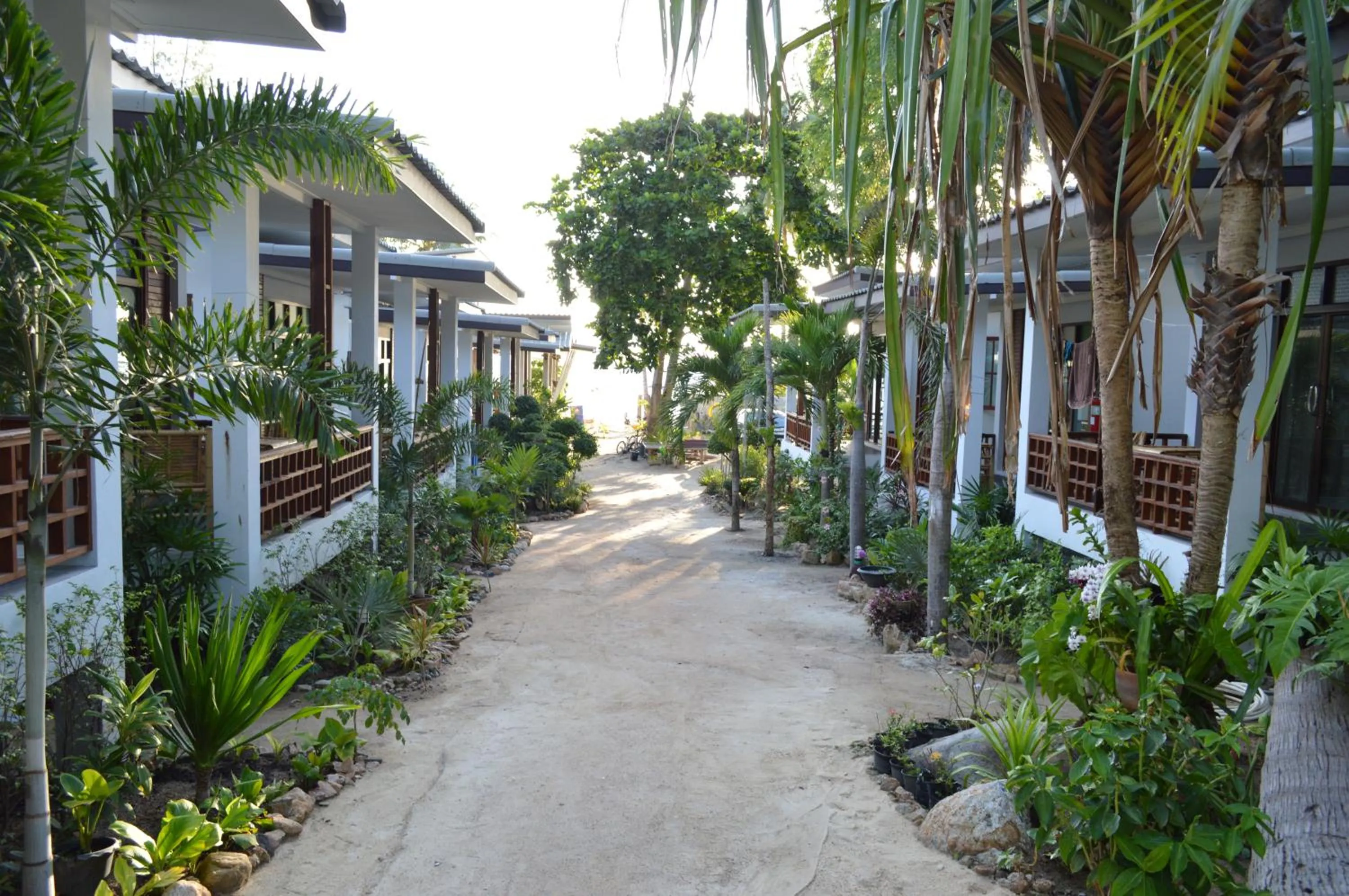 Garden view in Benjamin's Hut