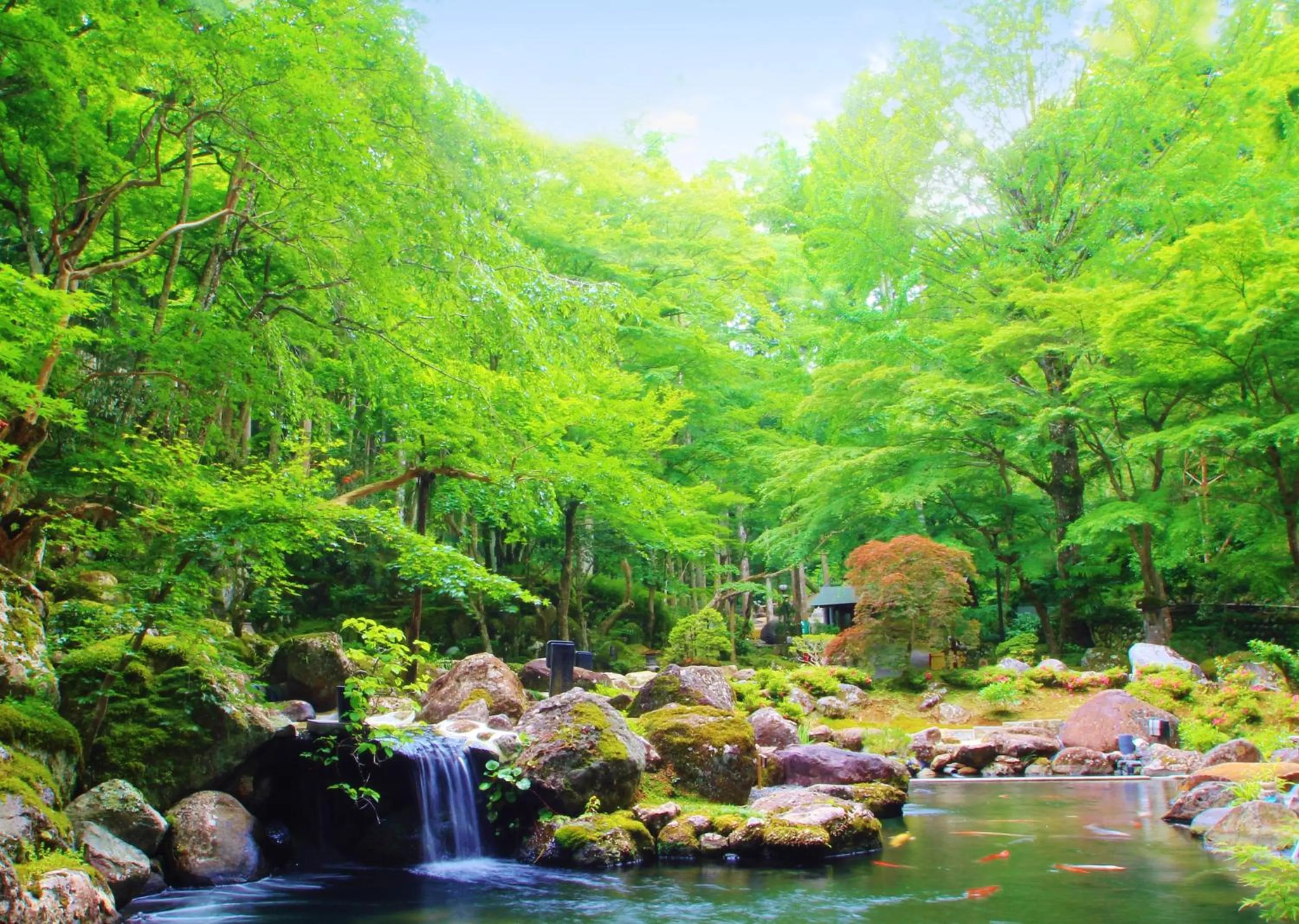 Garden in Sora Togetsusoukinryu