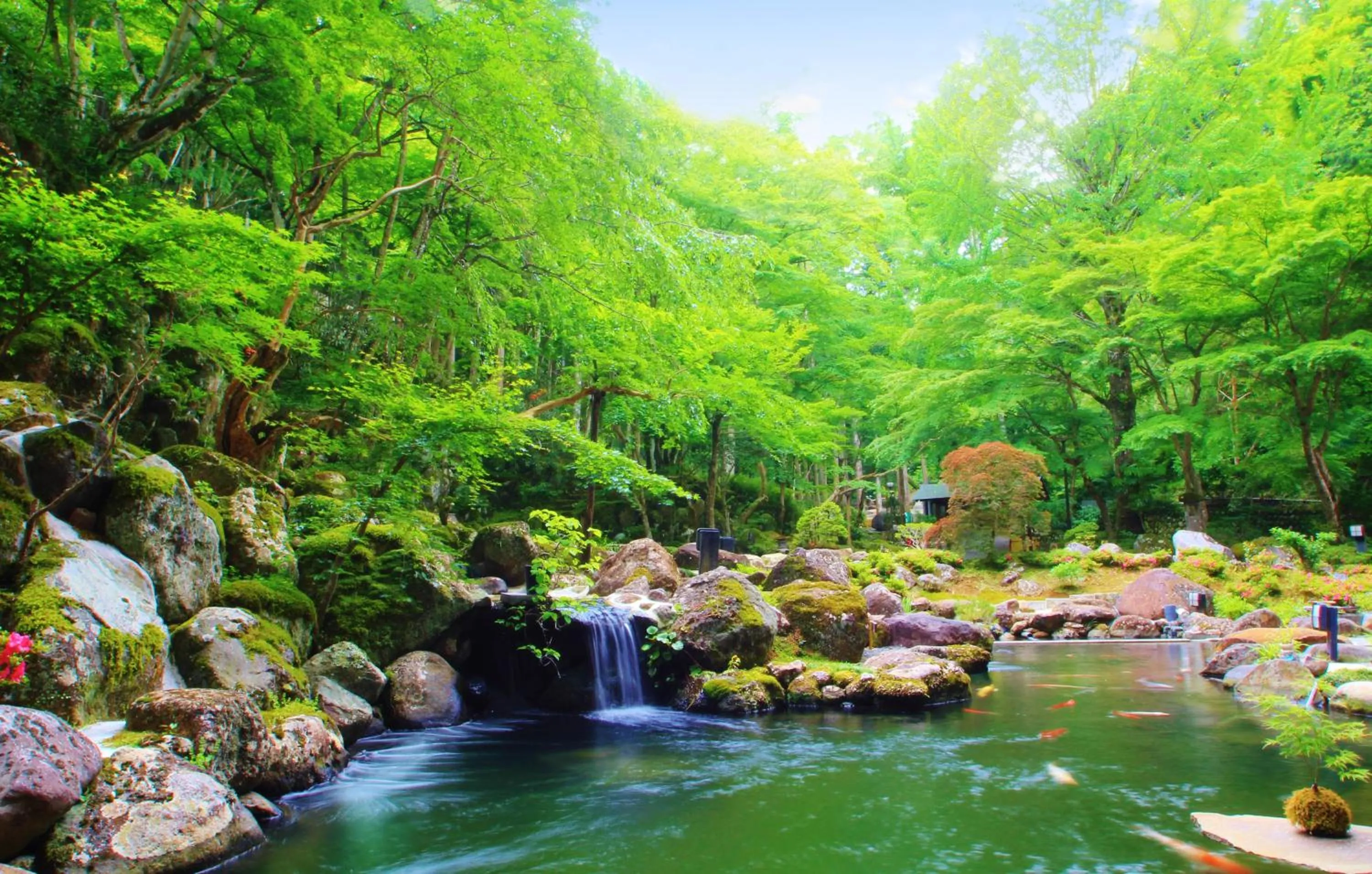 Summer in Sora Togetsusoukinryu