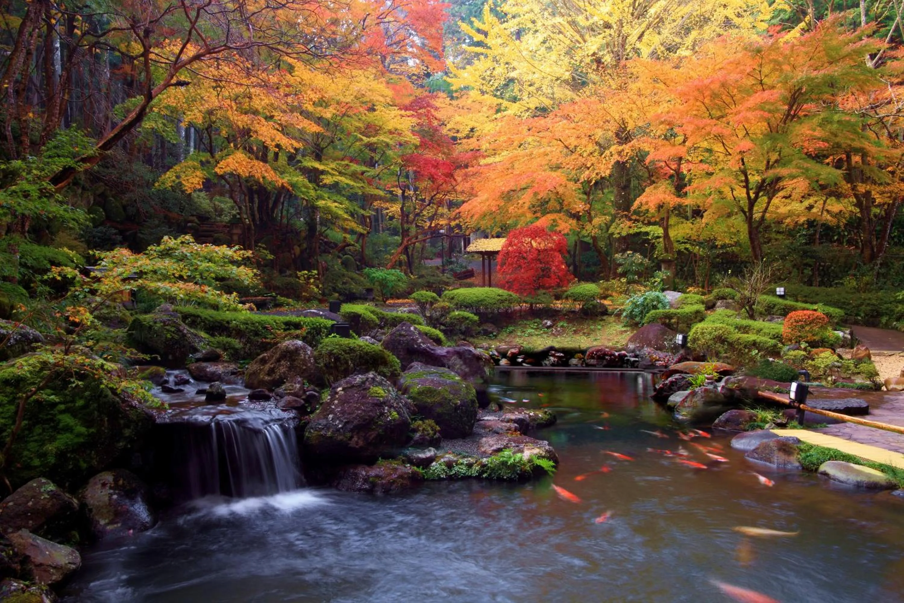 Garden in Sora Togetsusoukinryu
