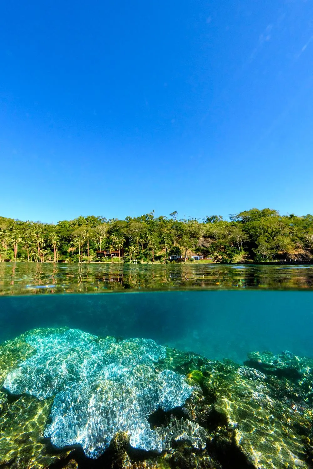 Day in The Remote Resort