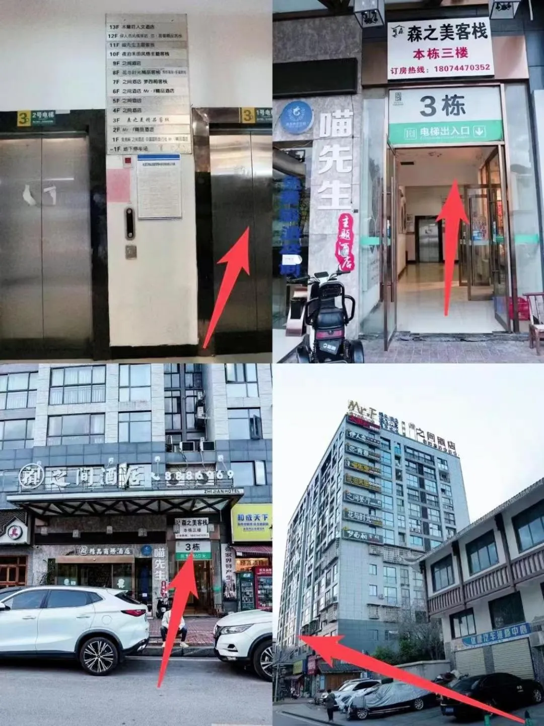 Property building in Zhangjiajie Cat Theme Inn