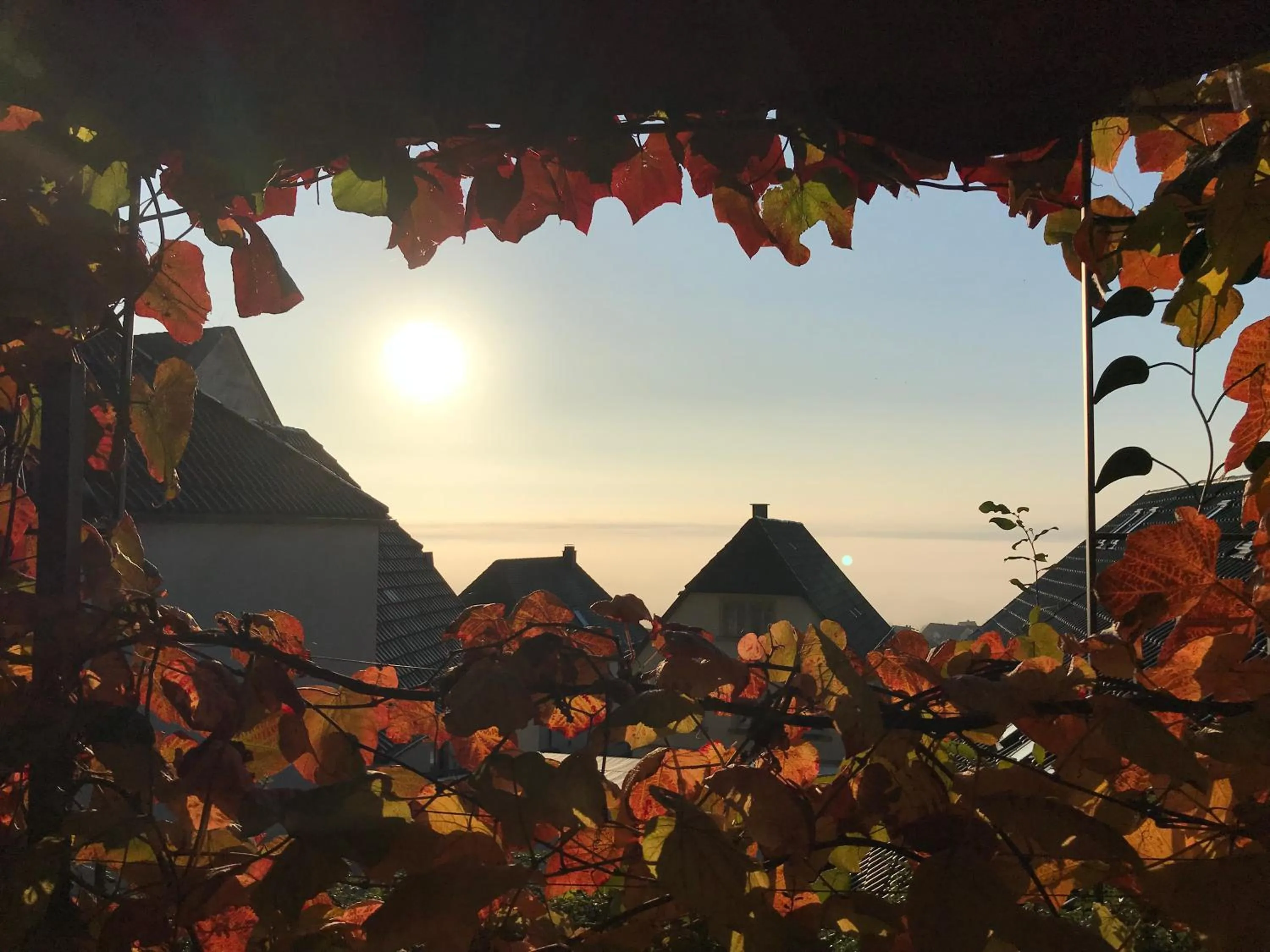 View (from property/room) in Haus am Heiner Geißler Platz by Landgasthof Zickler