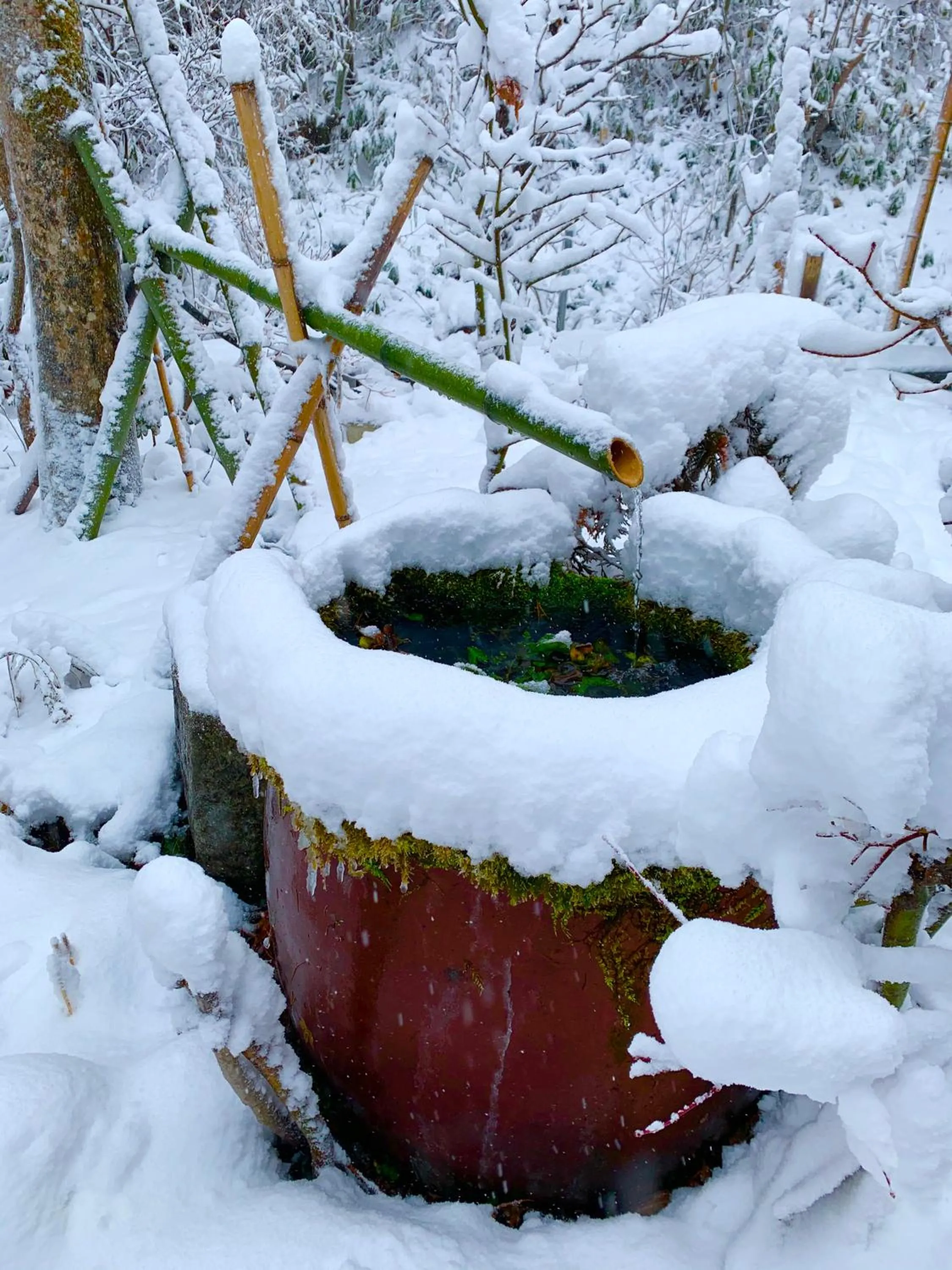 Winter in Kirishimaya Ryokan