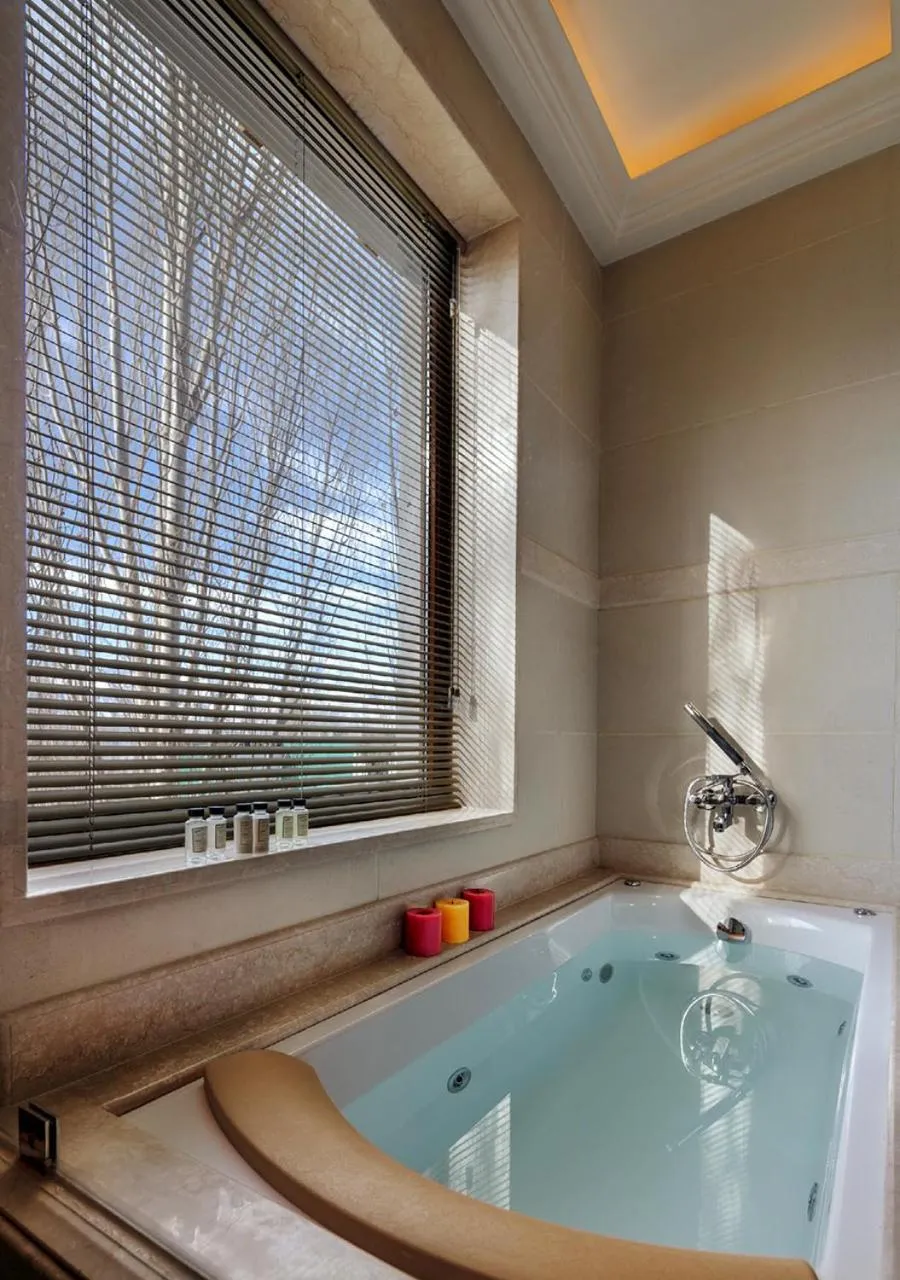 Bathroom in The Indus Valley