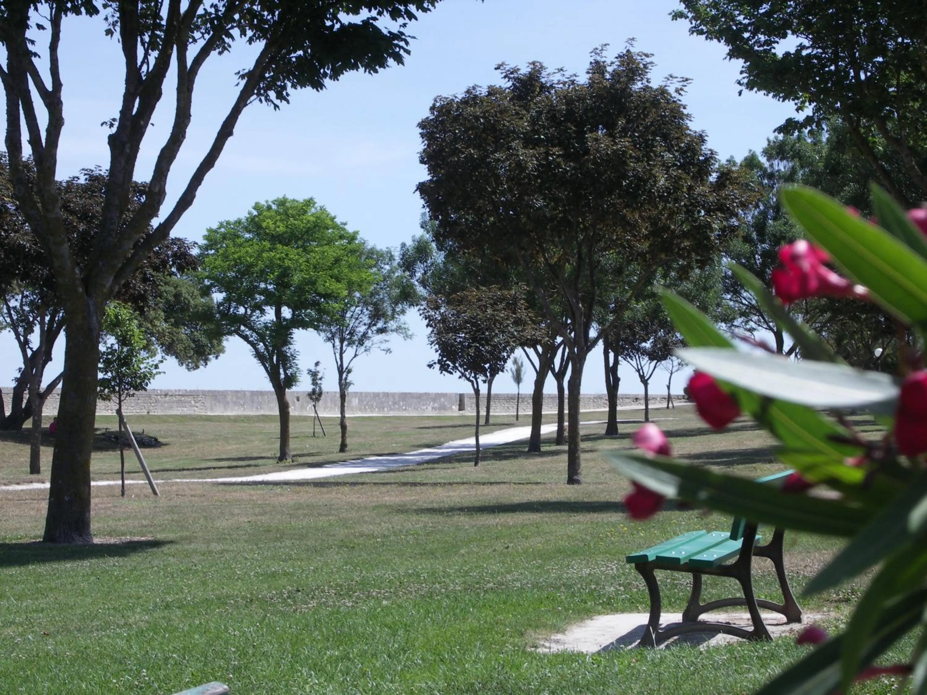 Natural landscape in Maison Antioche