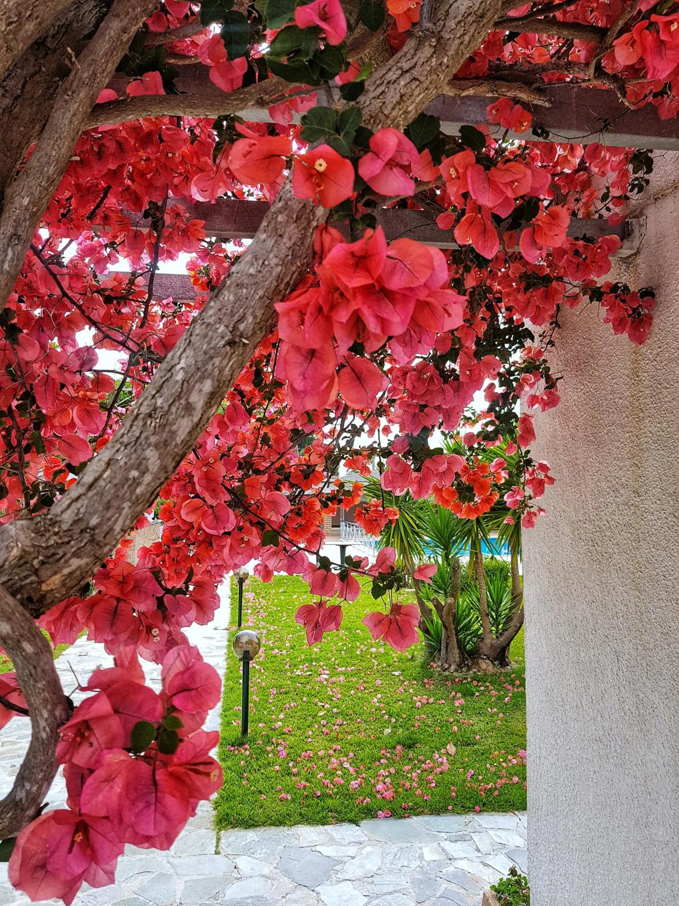 Hotel Kalamitsi Apartments