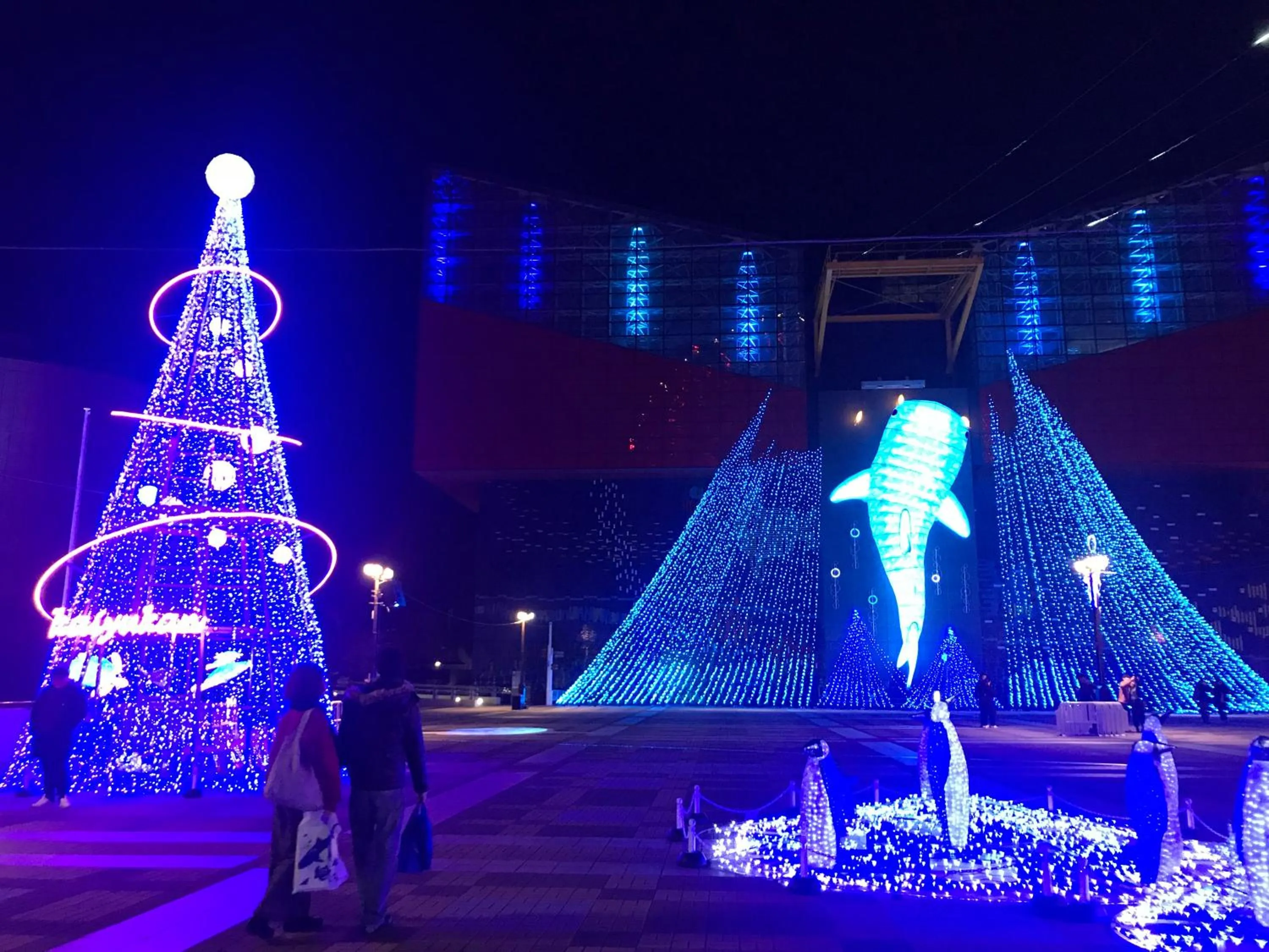 Activities in Guest House Rice Chikko