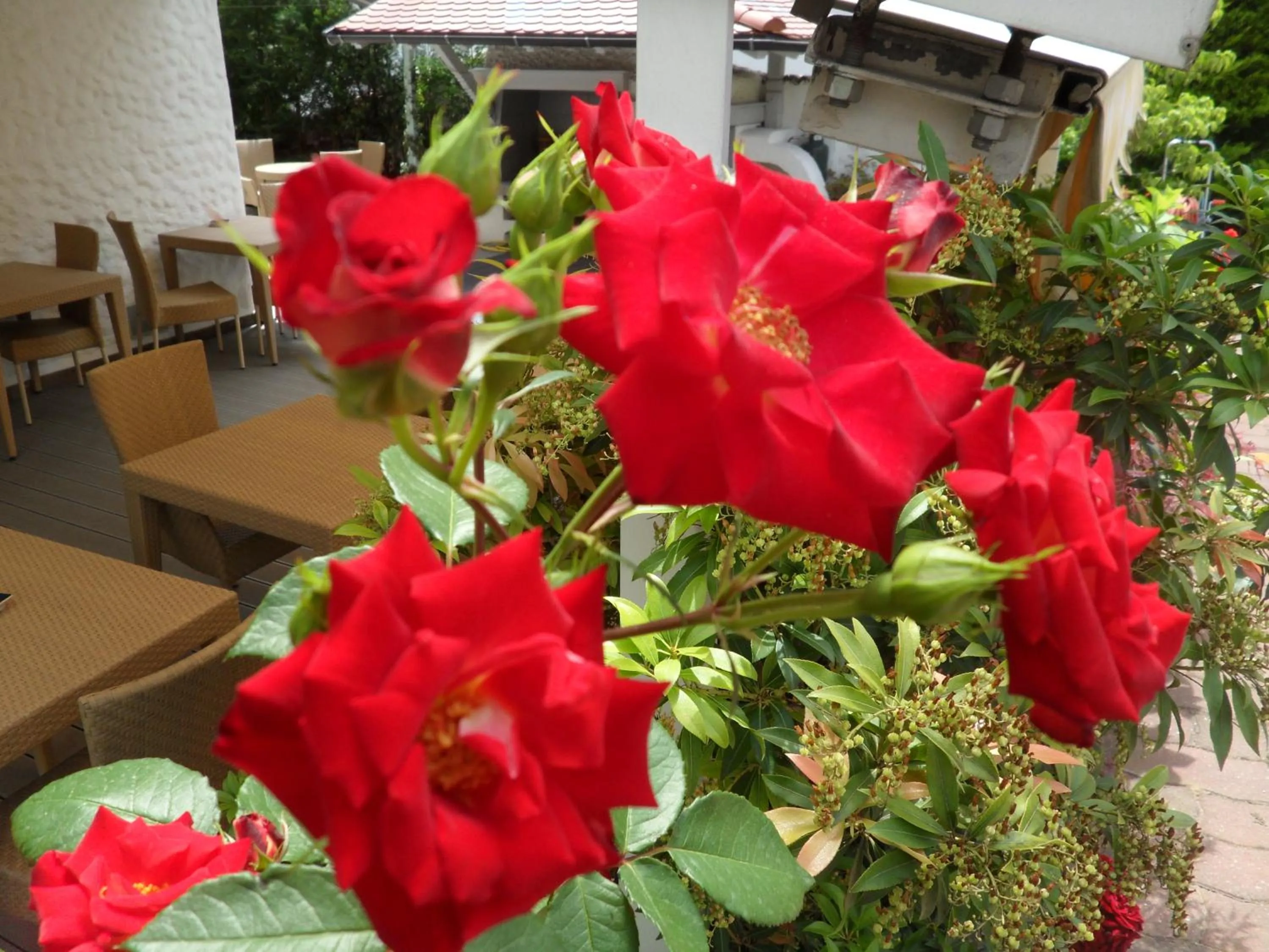 Other in Hotel FleurAlp