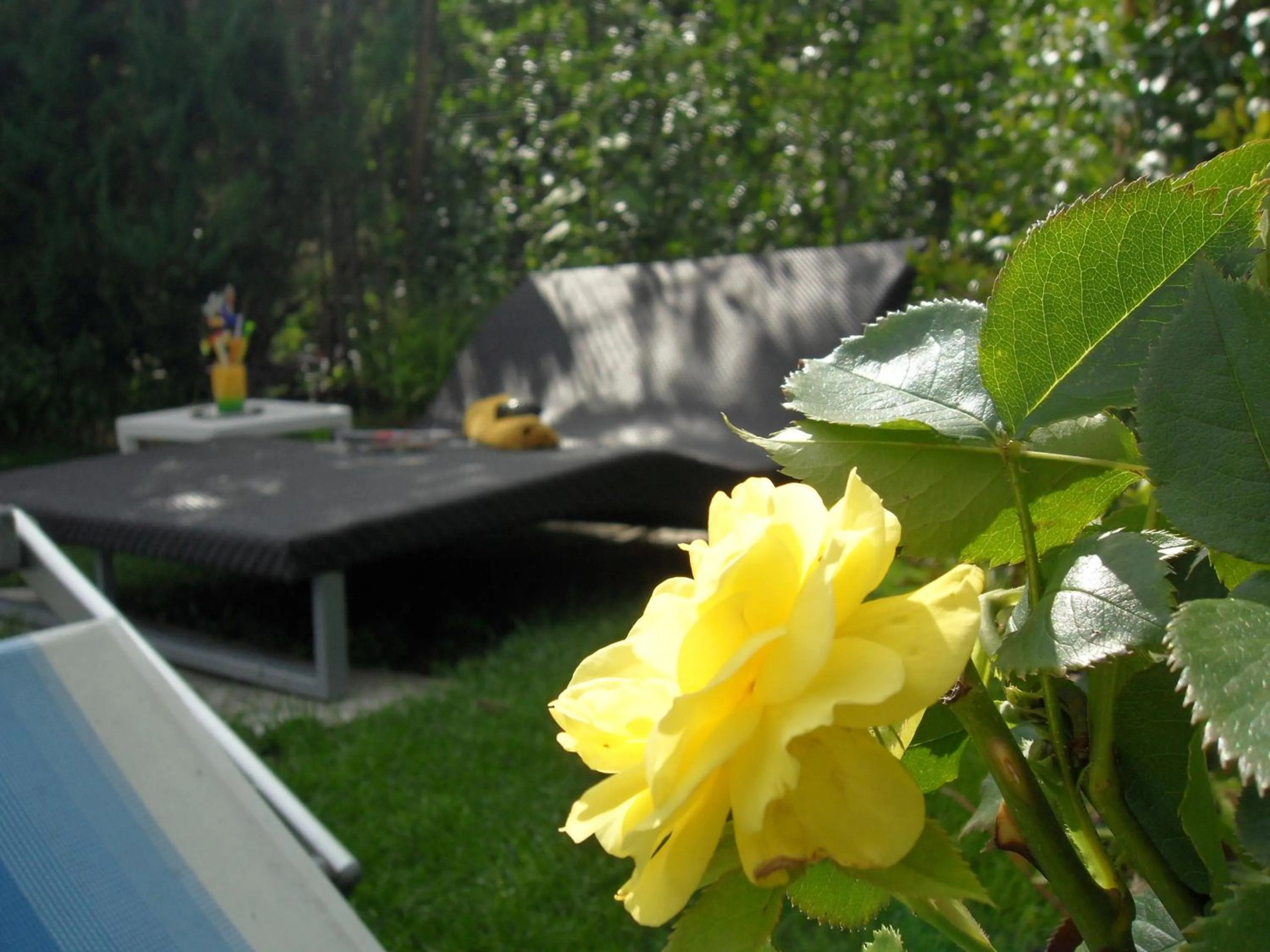 Swimming pool in Hotel FleurAlp