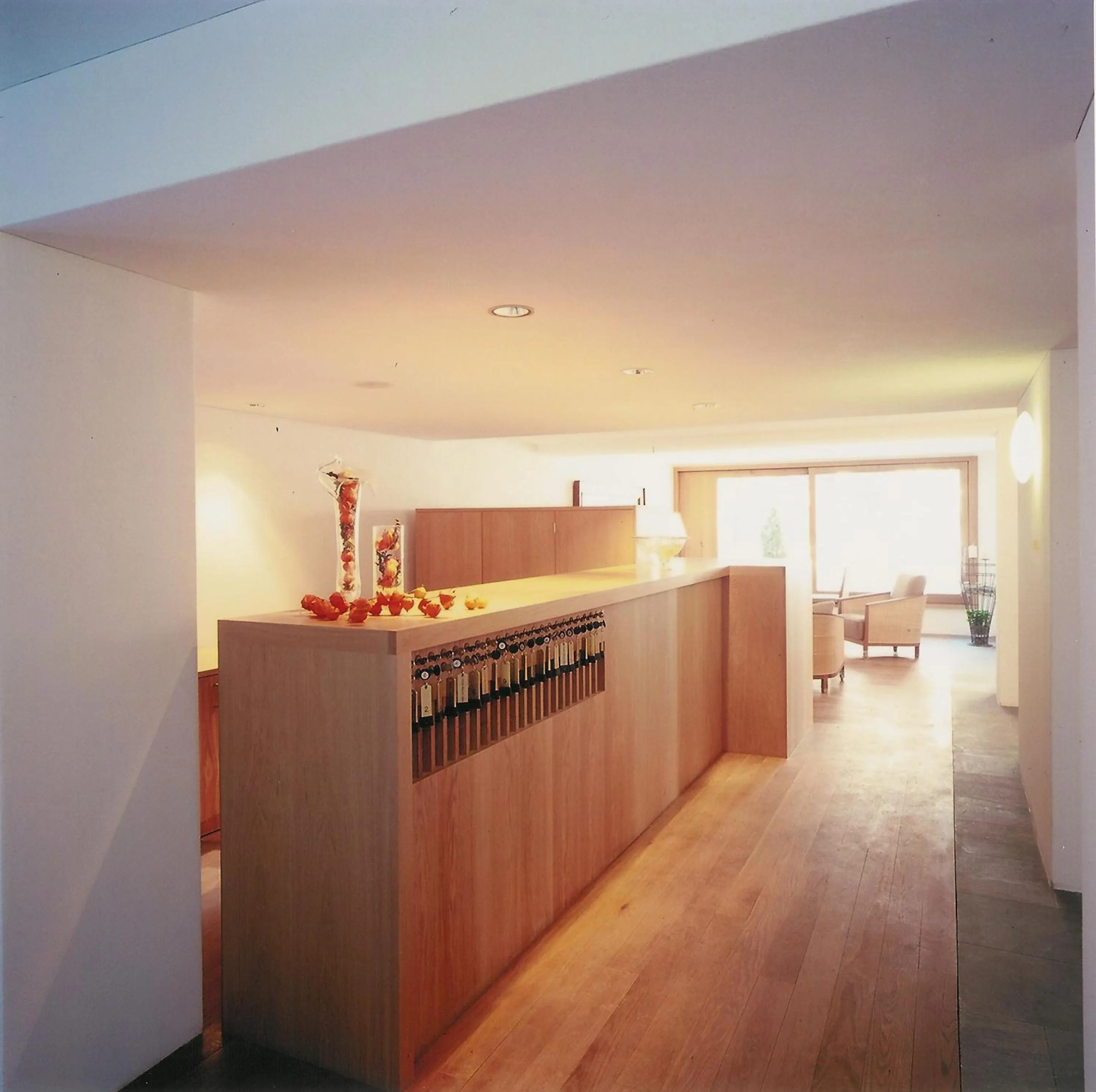 Lobby or reception in Hotel Alpina