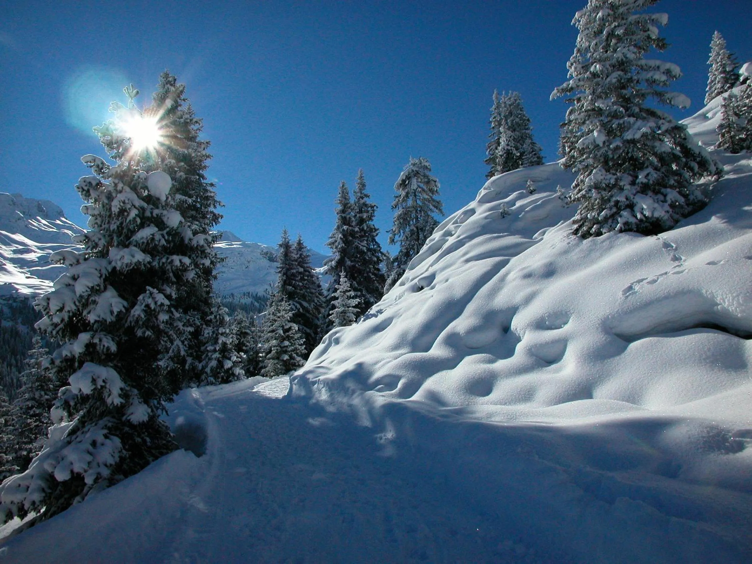 Skiing in Hotel Alpina