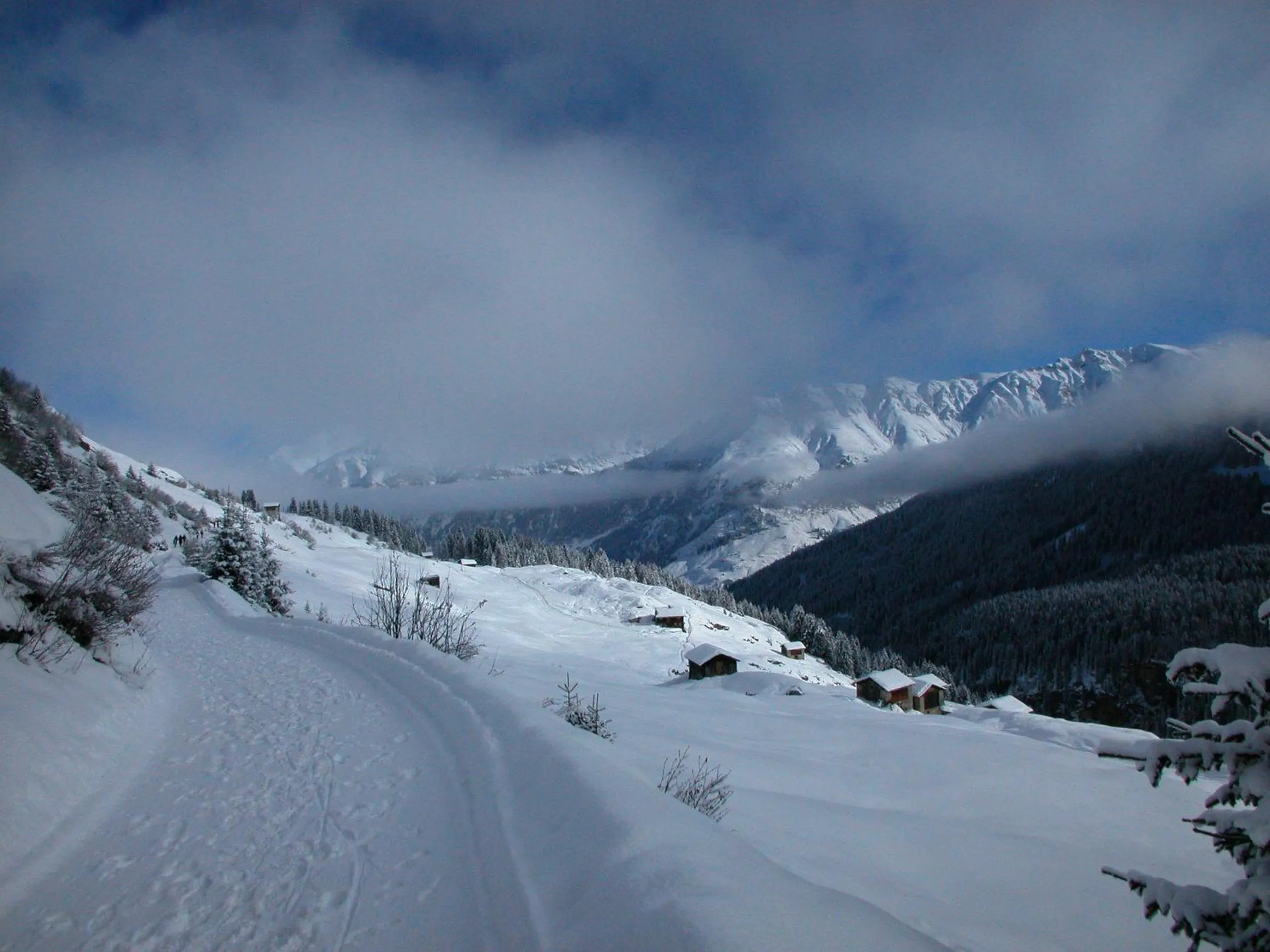 Skiing in Hotel Alpina