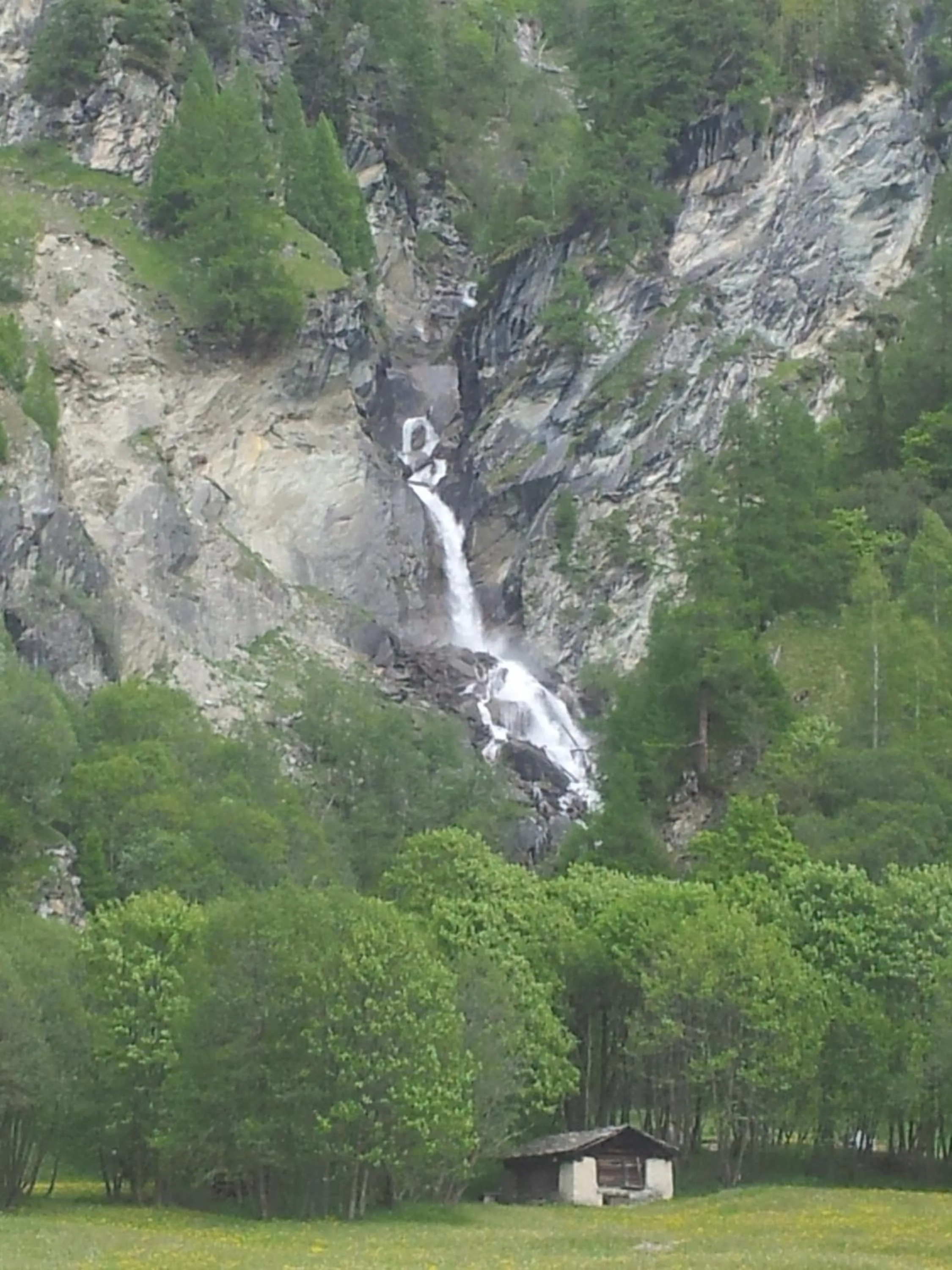 Area and facilities in Hotel Alpina