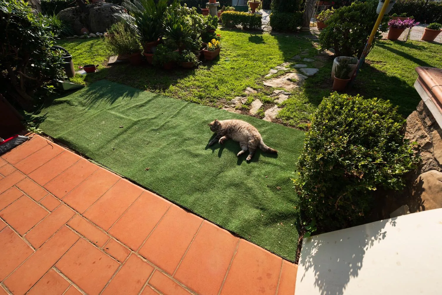 Villa Ida Bed & Breakfast