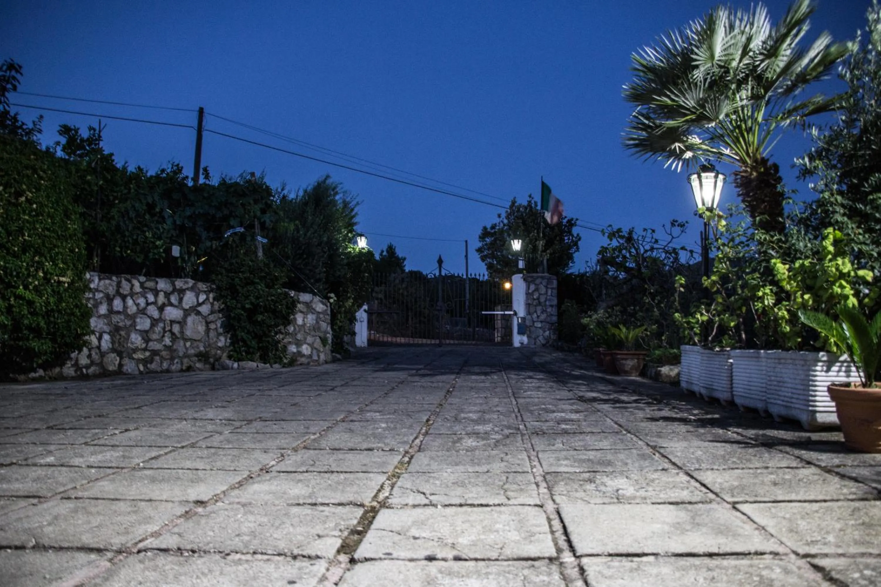 Garden in Villa Ida Bed & Breakfast