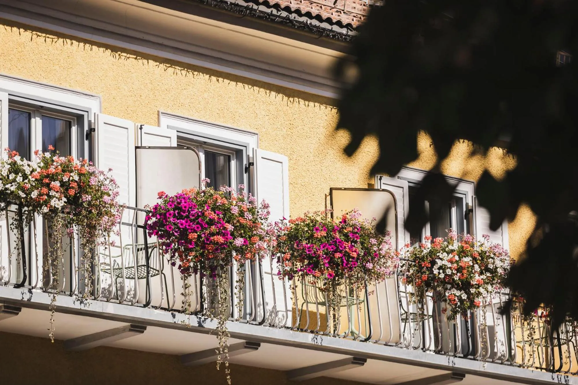 View (from property/room) in Emma Historic Hotel