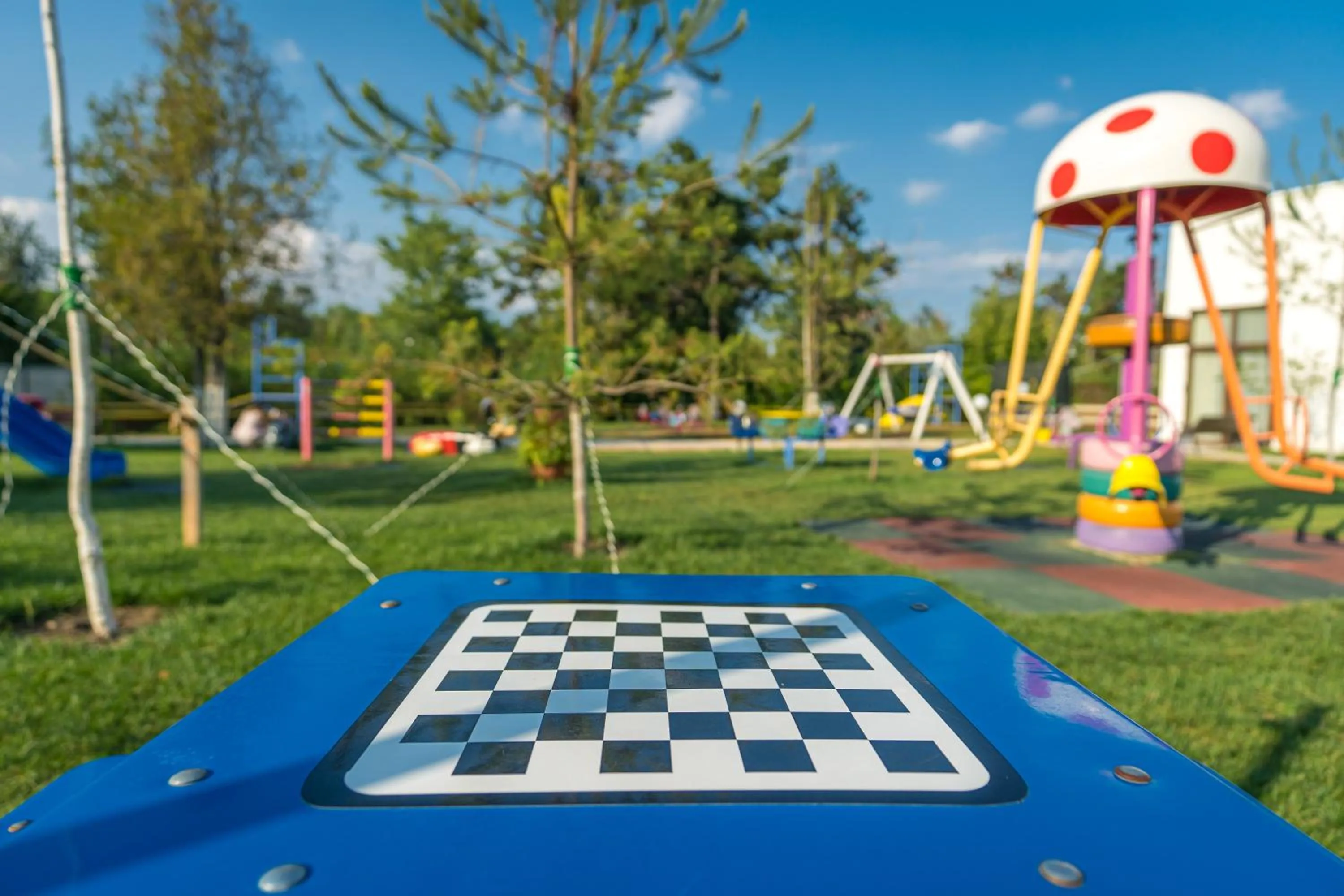 Activities in Mera Onix