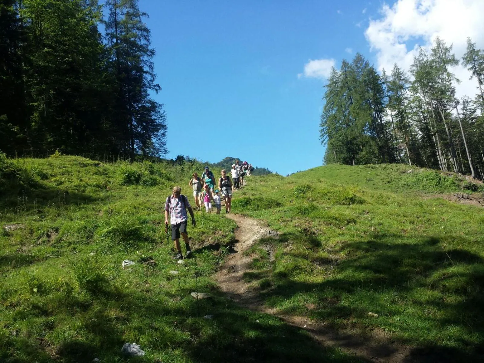 Hiking in Erlebnisgut & Reiterhof Oberhabach