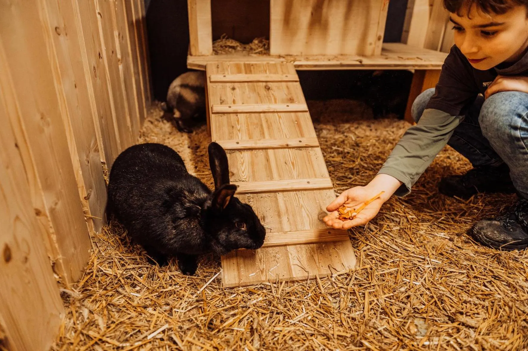 Animals in Erlebnisgut & Reiterhof Oberhabach