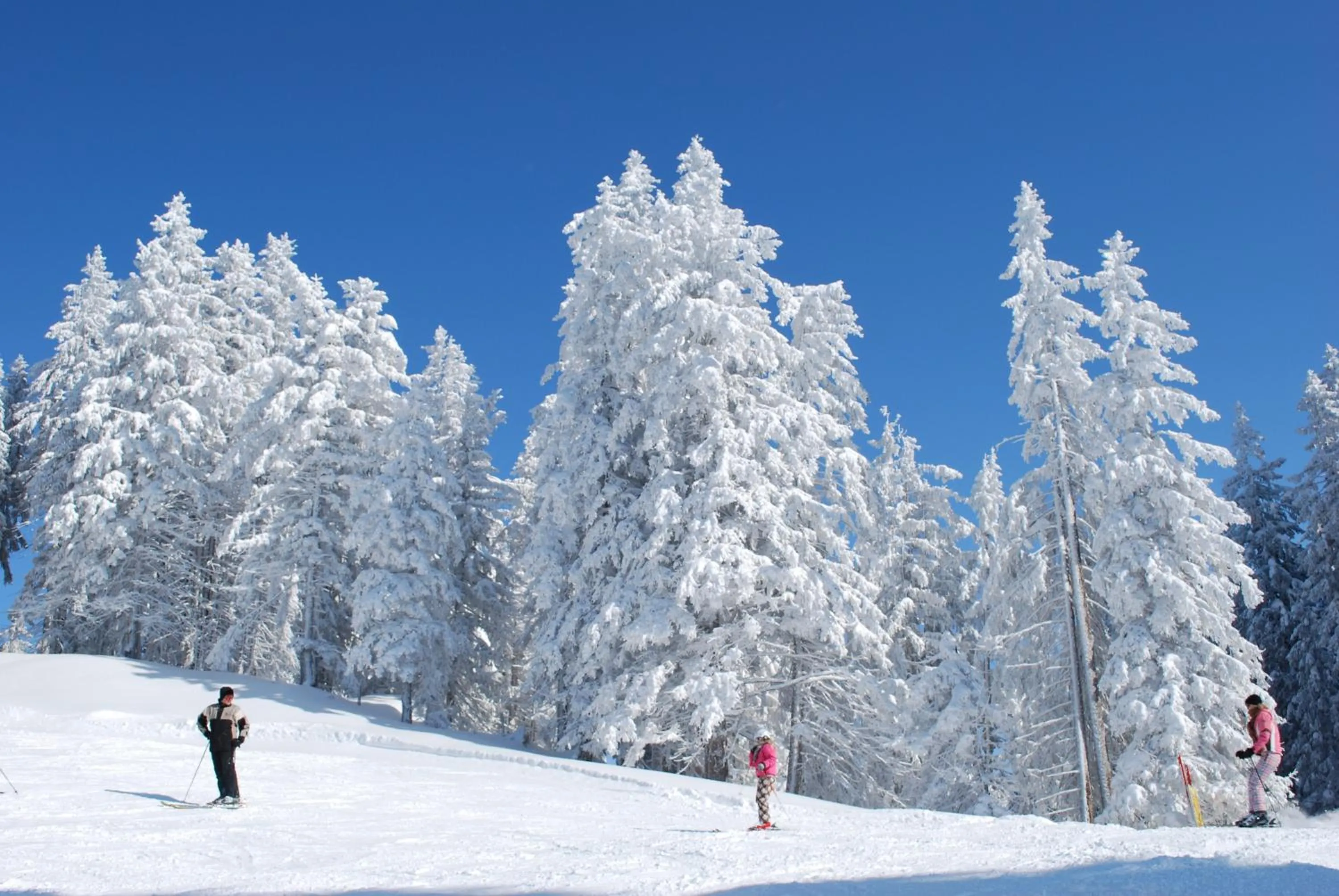 Skiing in Erlebnisgut & Reiterhof Oberhabach