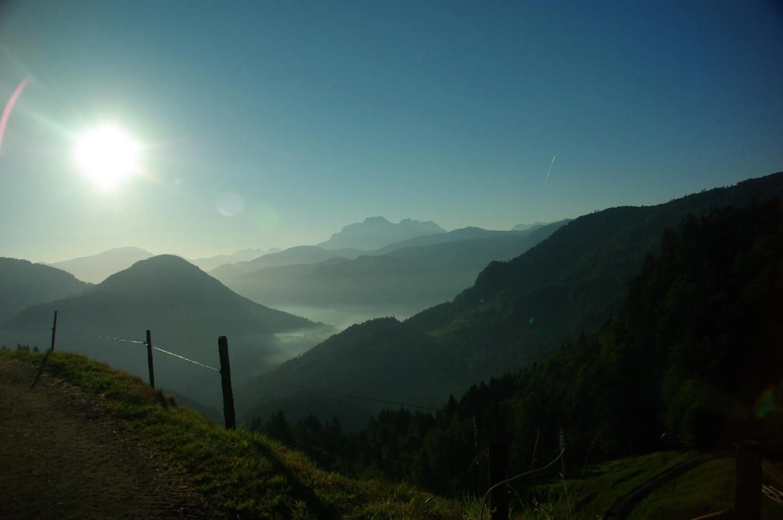 Food and drinks in Erlebnisgut & Reiterhof Oberhabach