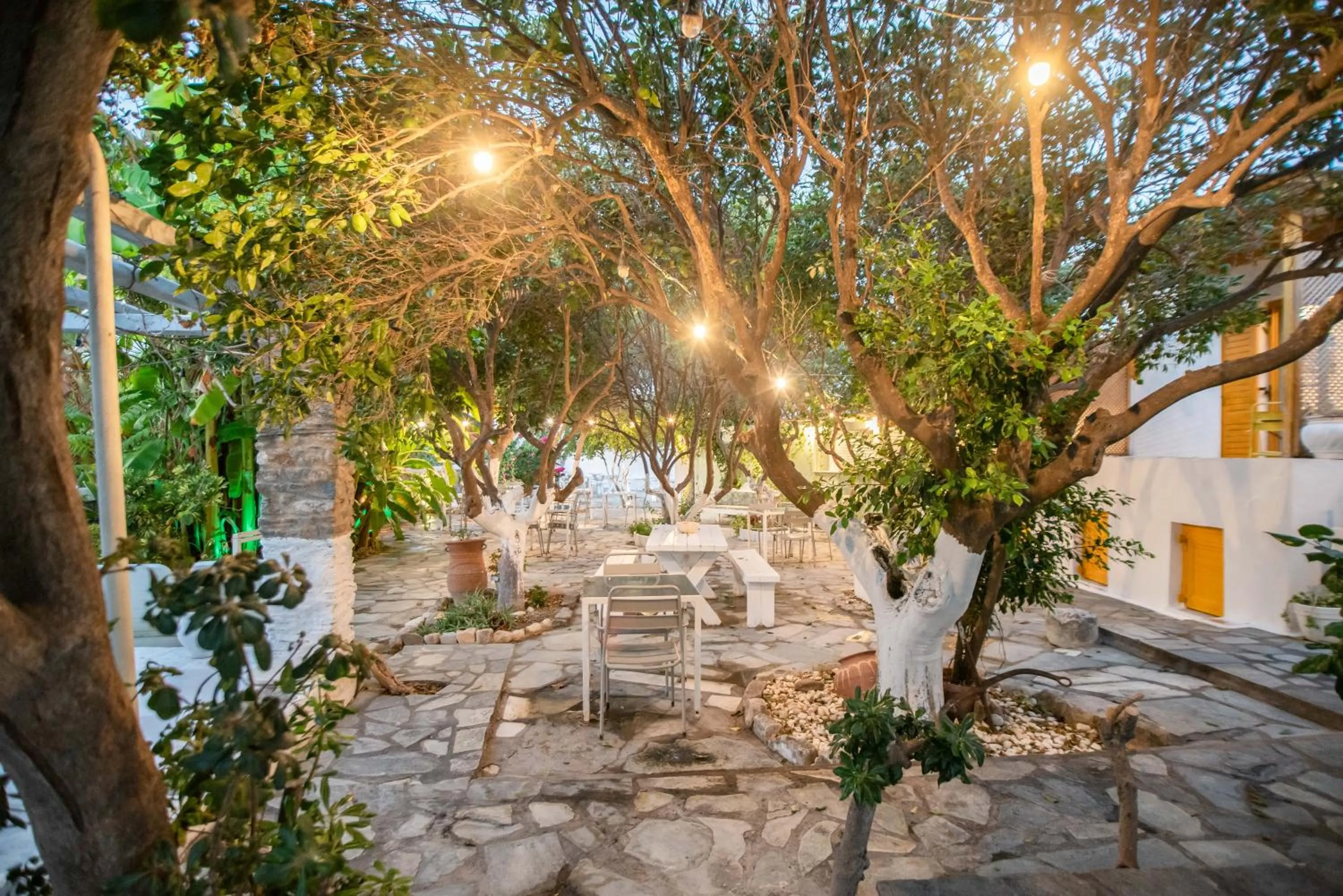 Garden in Aegean Village