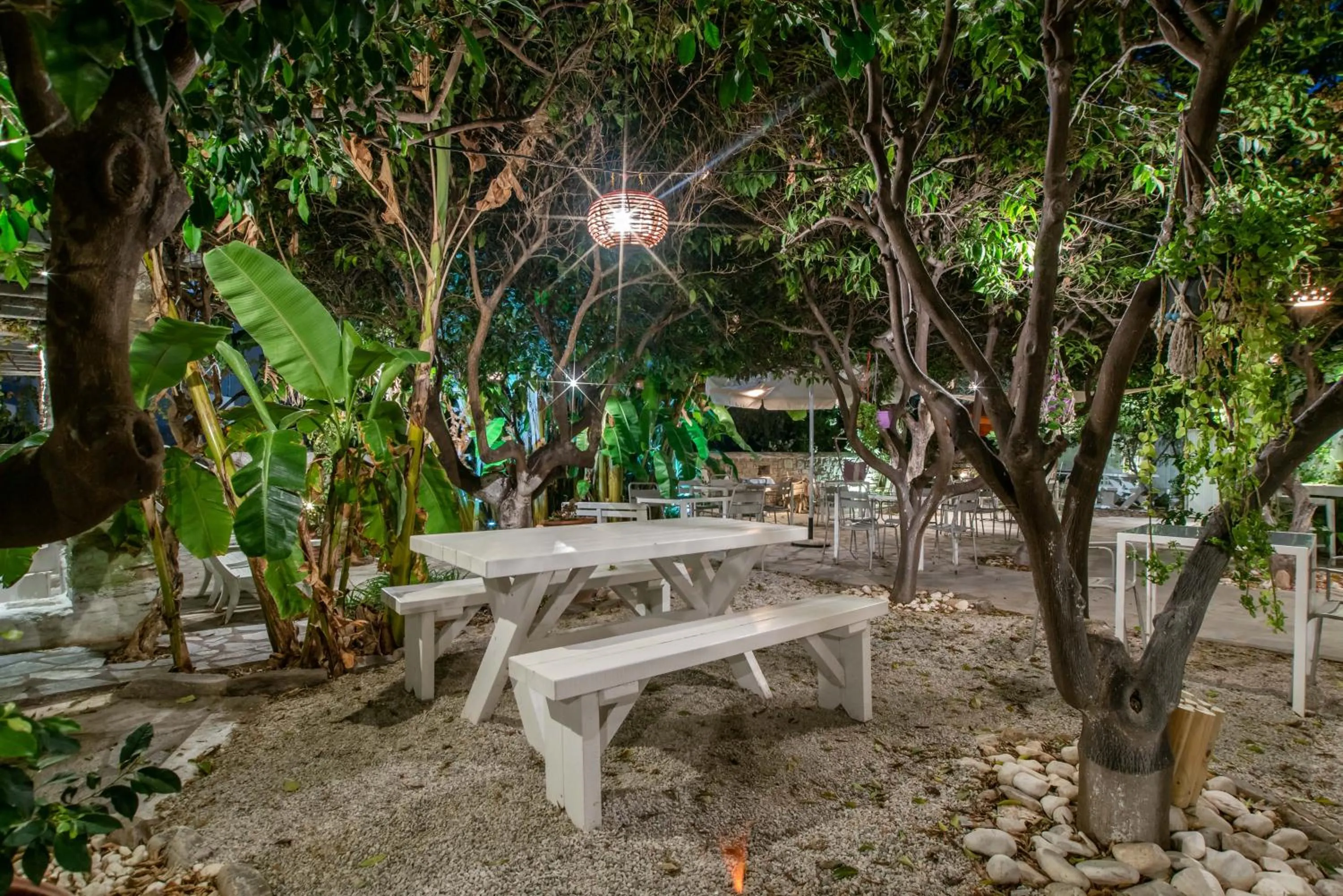 Garden in Aegean Village