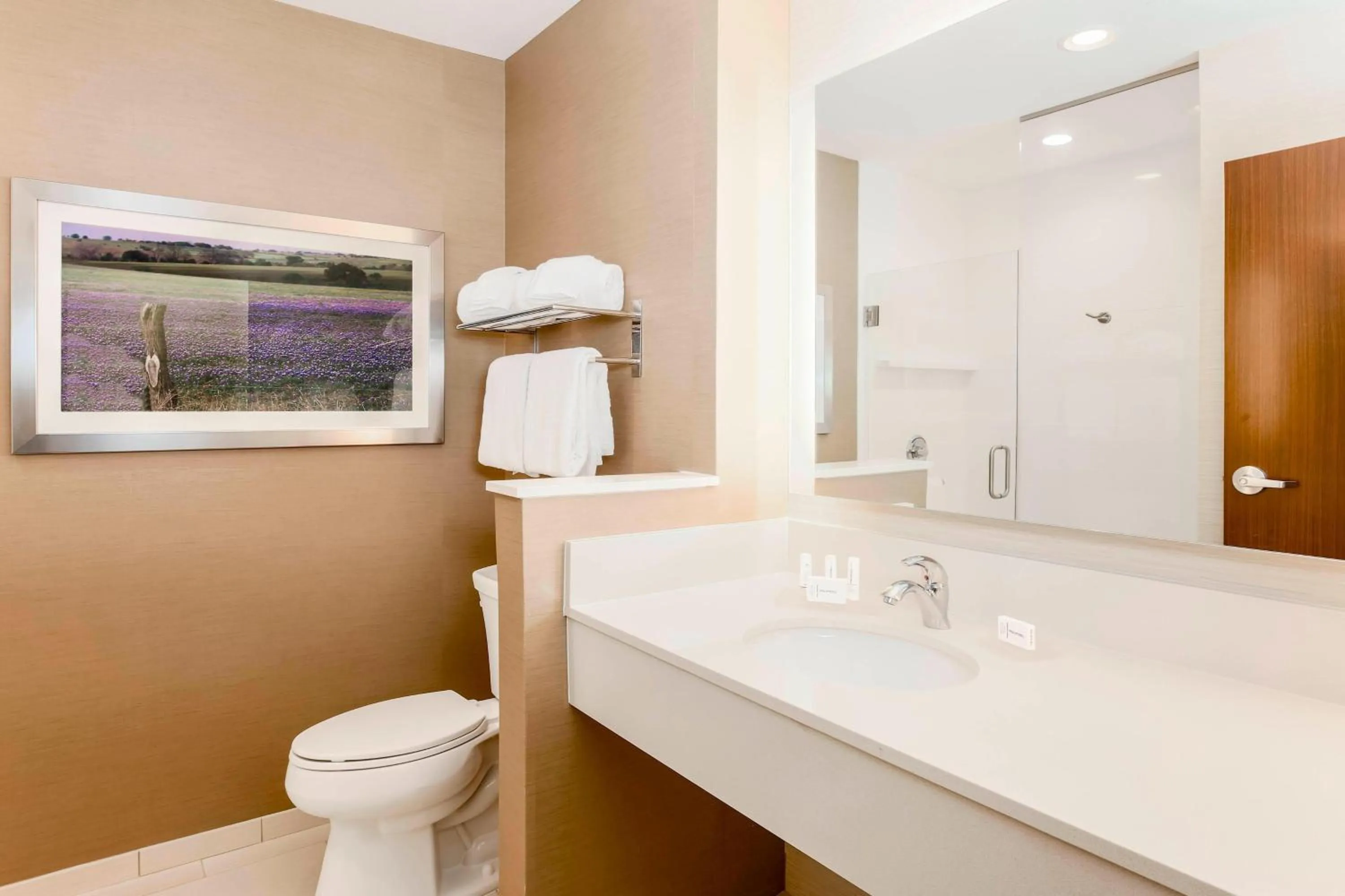 Bathroom in Fairfield Inn & Suites by Marriott Decatur at Decatur Conference Center