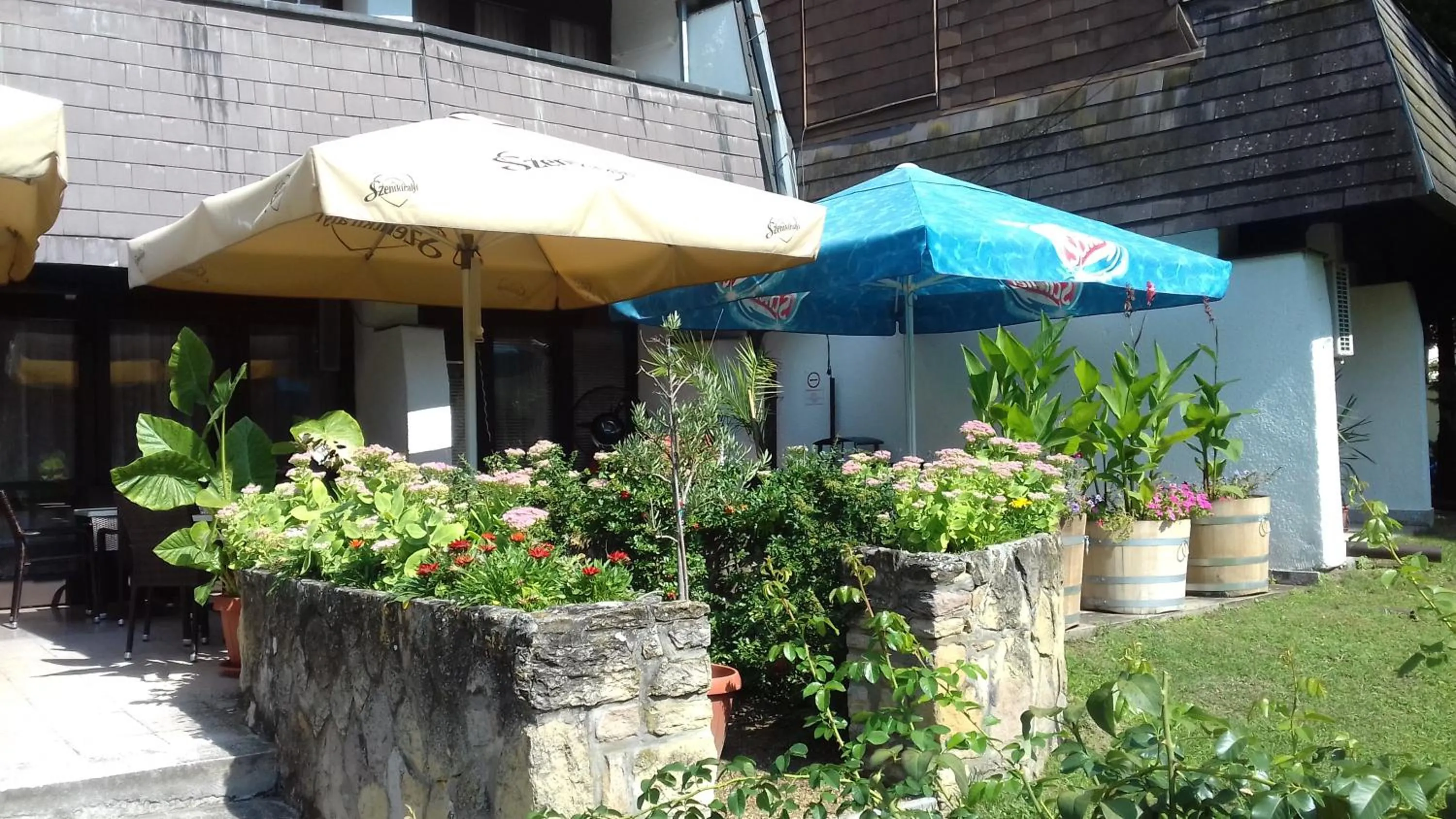 Garden in Hotel Jogar