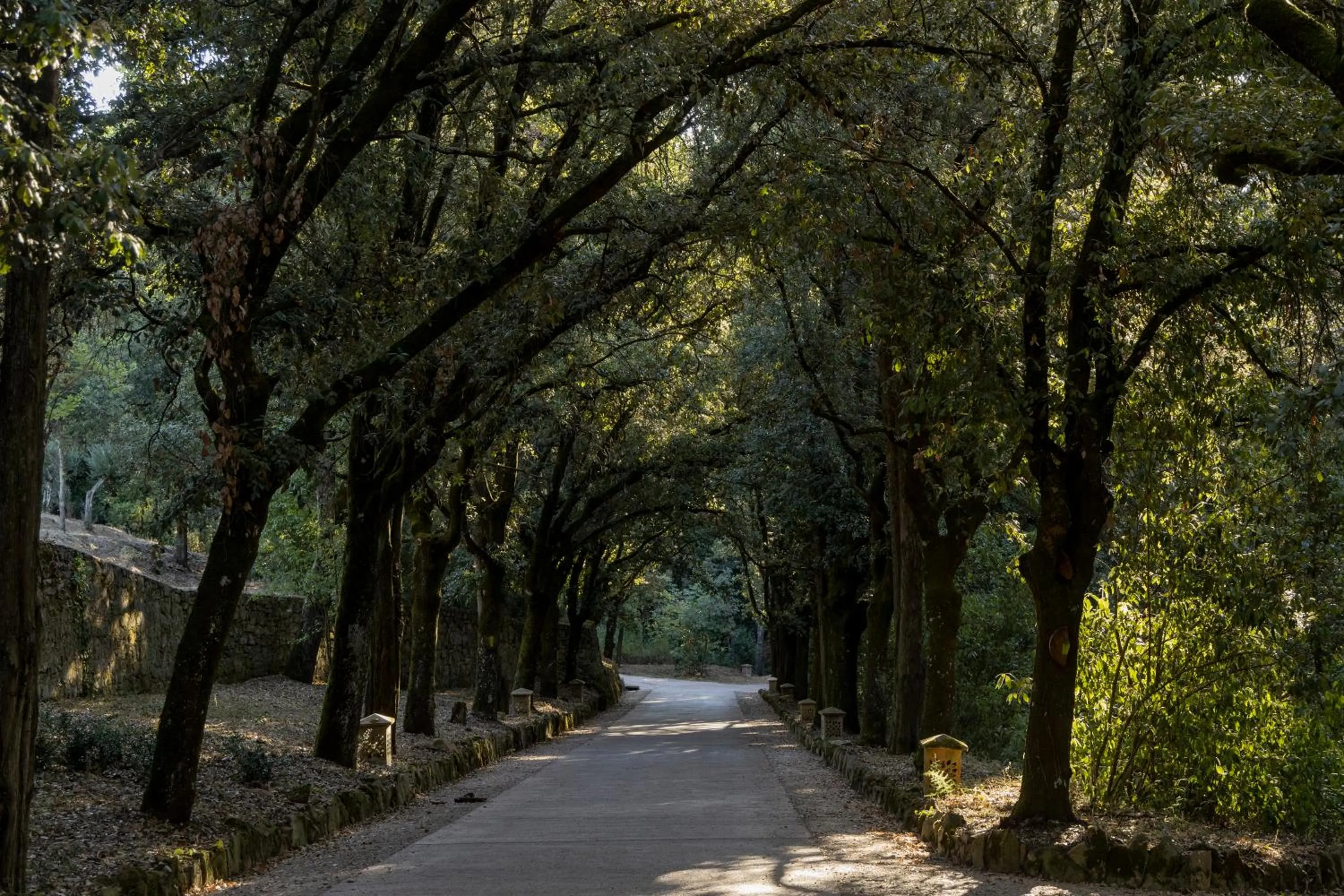Garden in Borgo Dei Conti Resort Relais & Chateaux