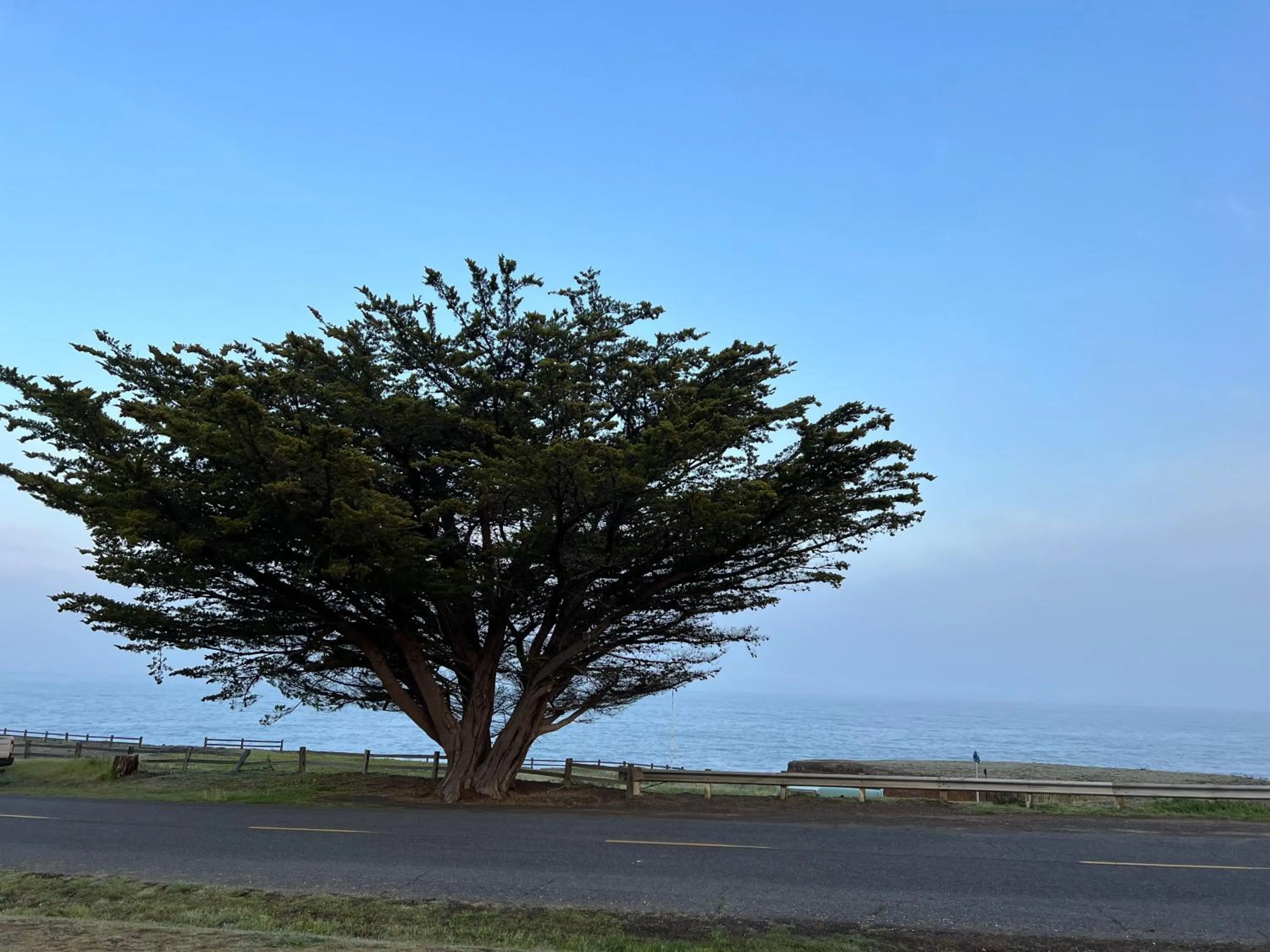 Inn of the Lost Coast